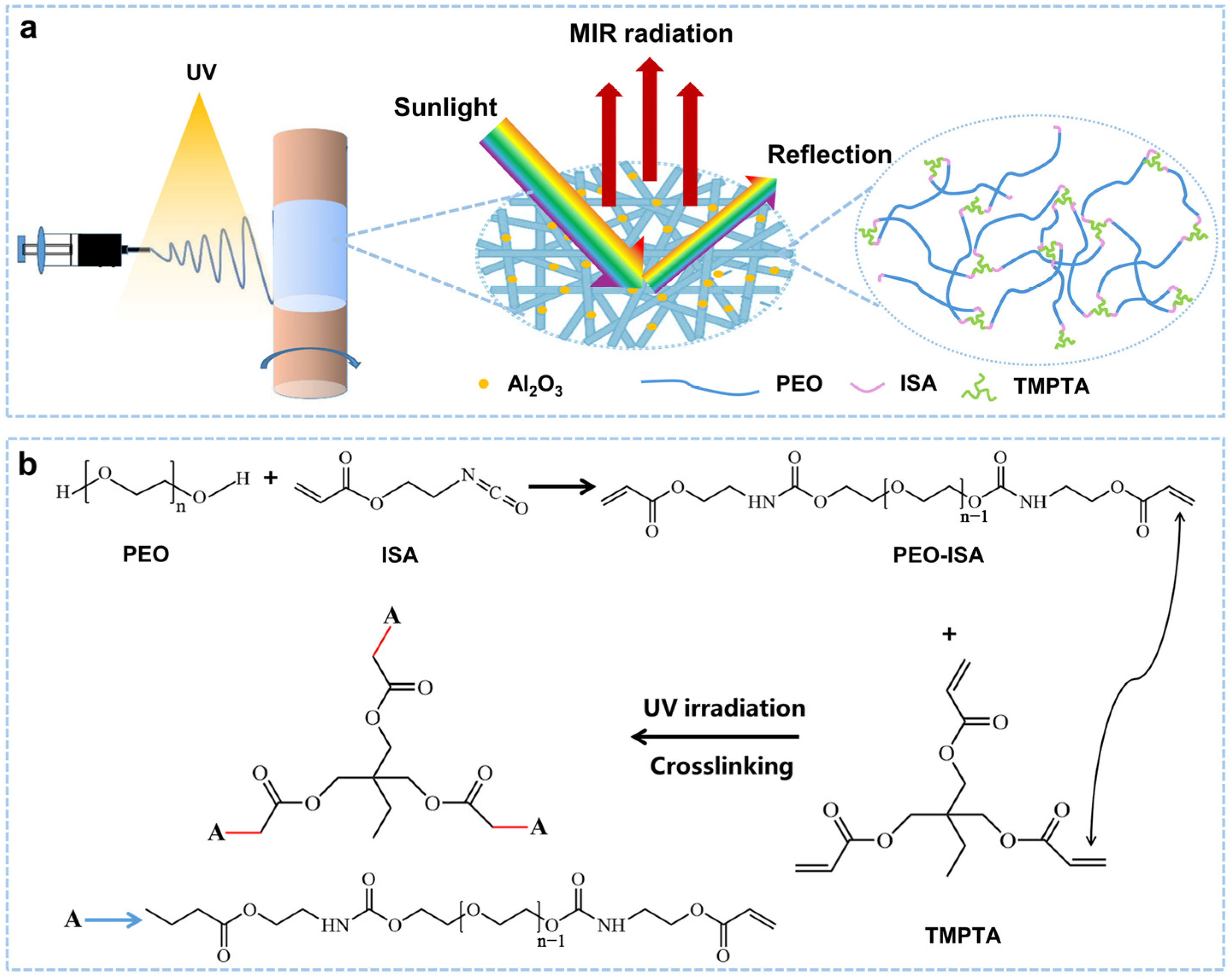 Molecules 30 00421 g001