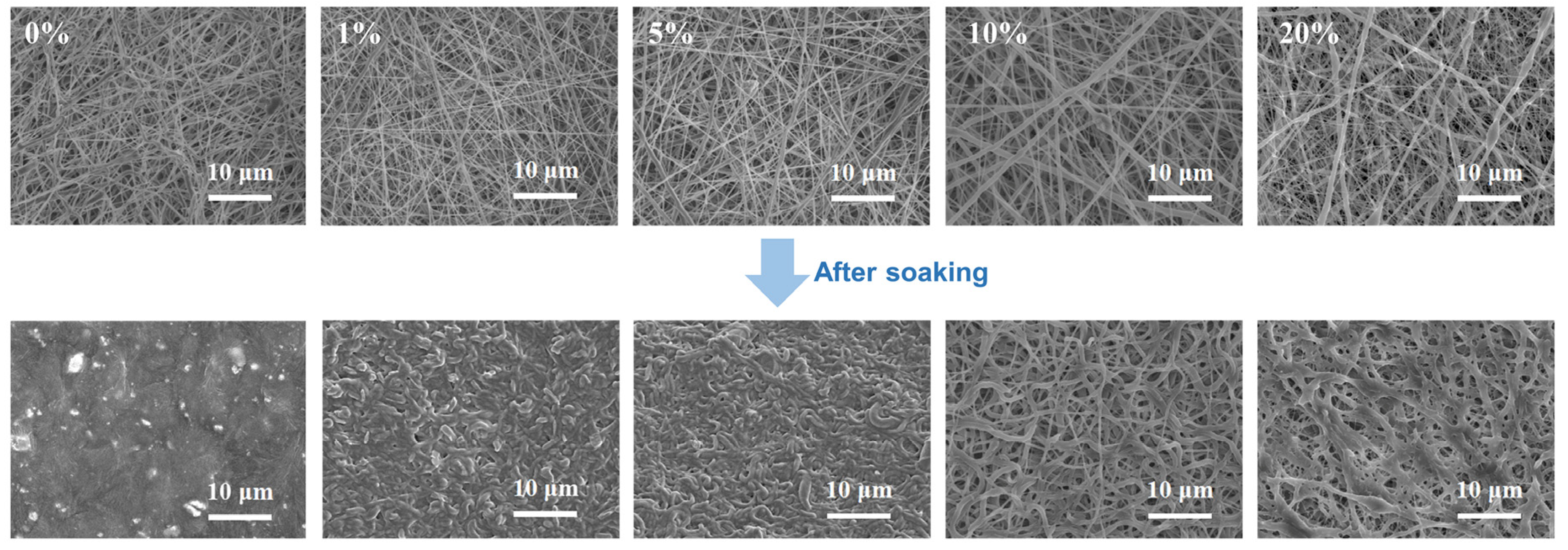 Molecules 30 00421 g005