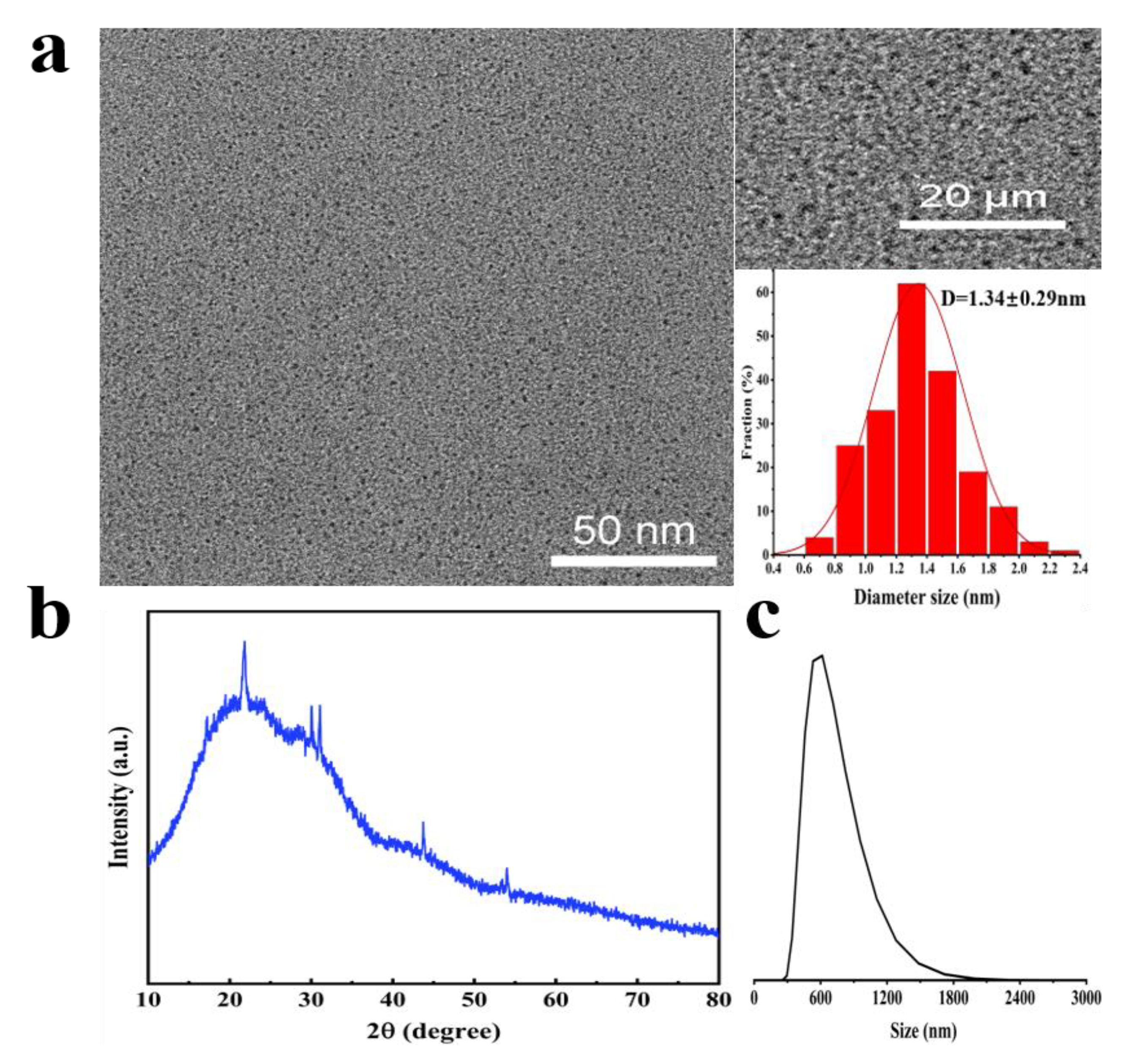 Molecules 30 00422 g003