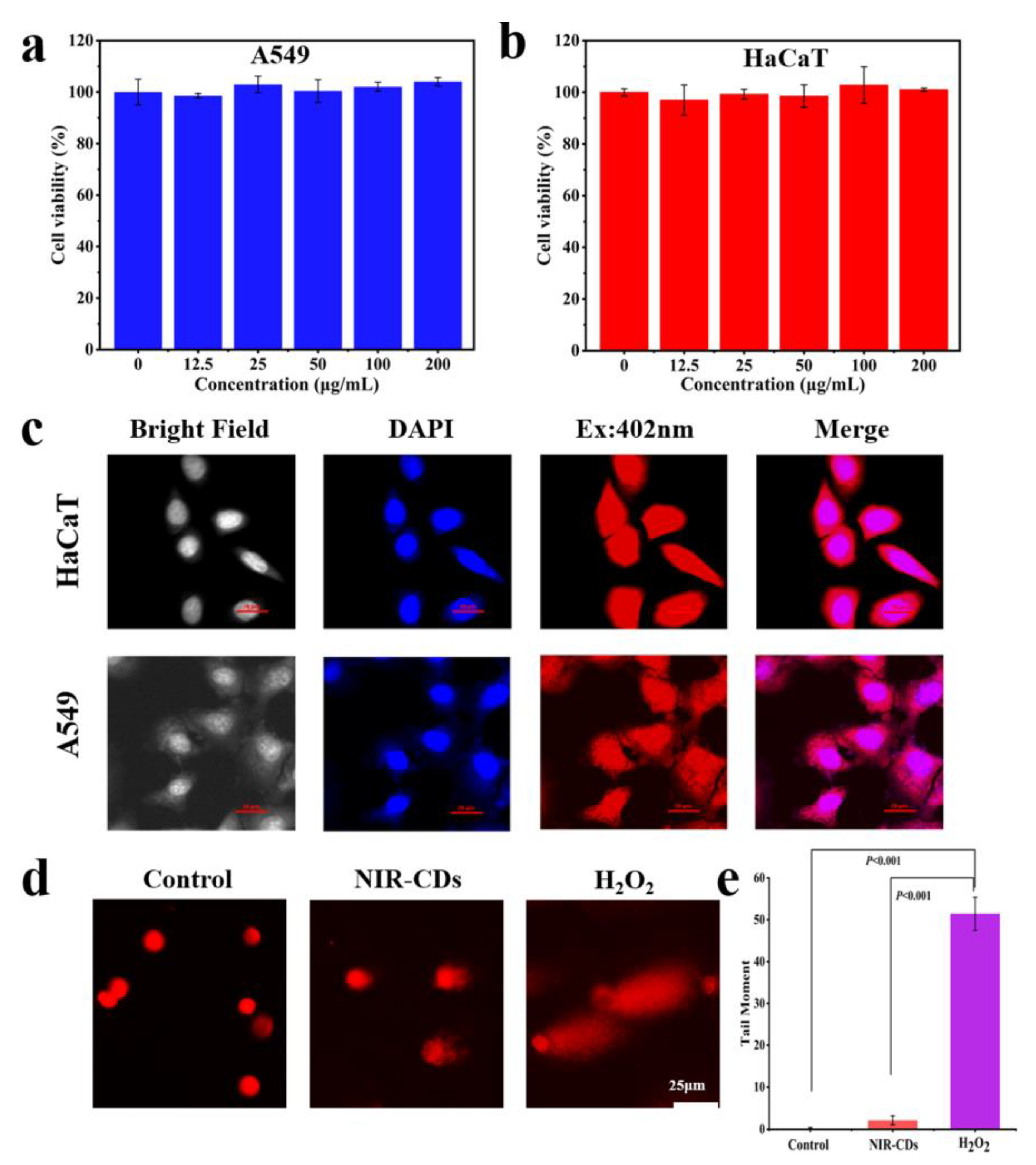 Molecules 30 00422 g006