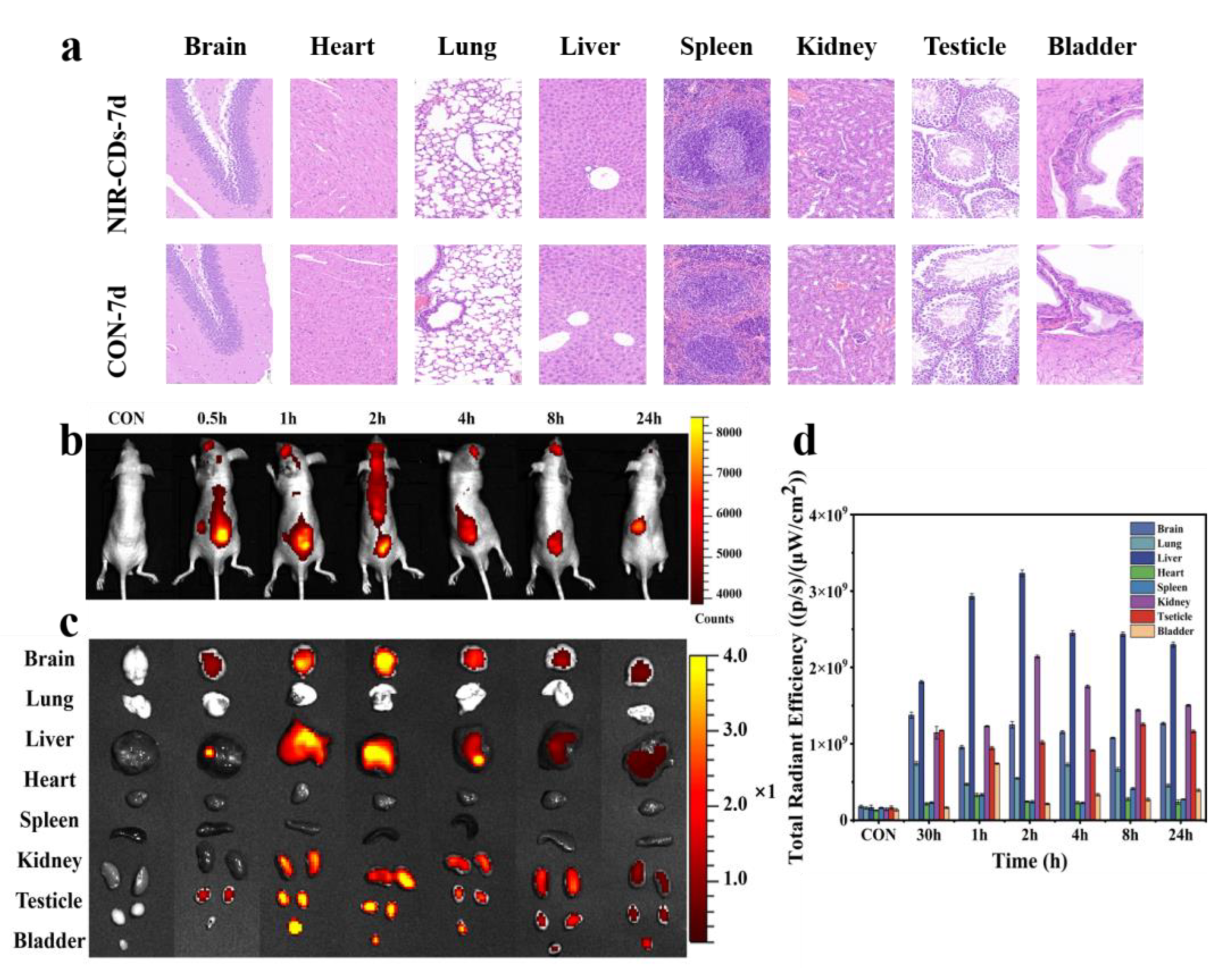 Molecules 30 00422 g007