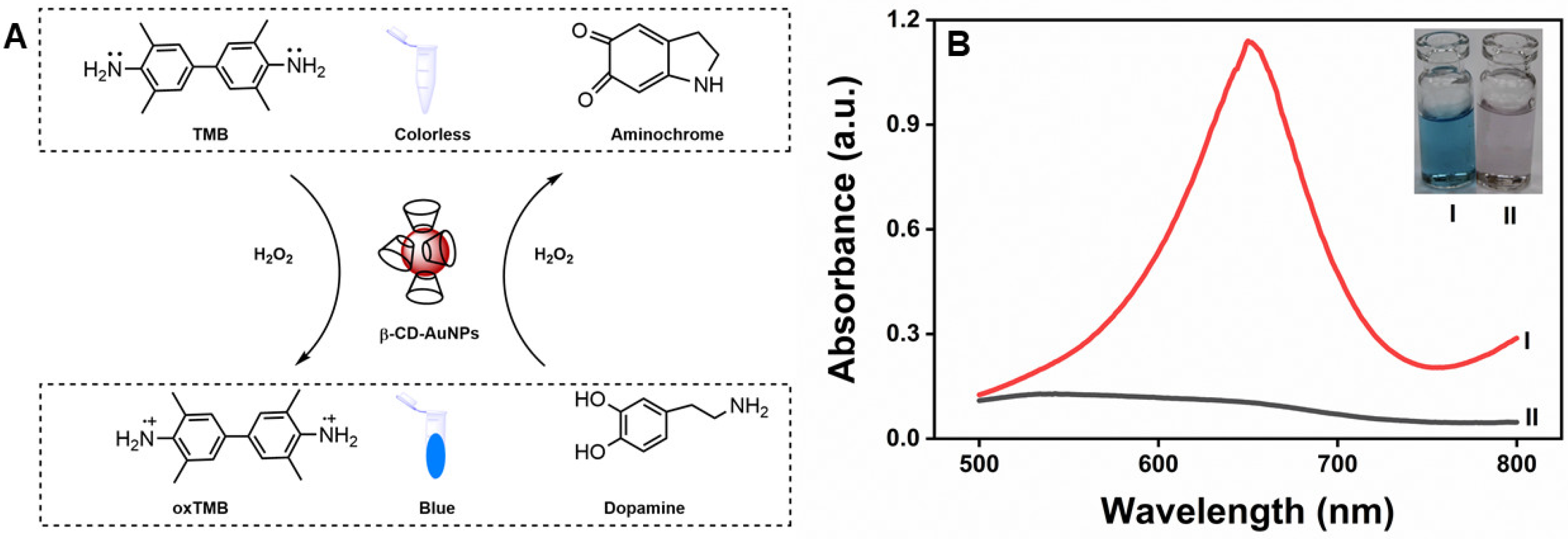 Molecules 30 00423 g006 Molecules 30 00423 g006