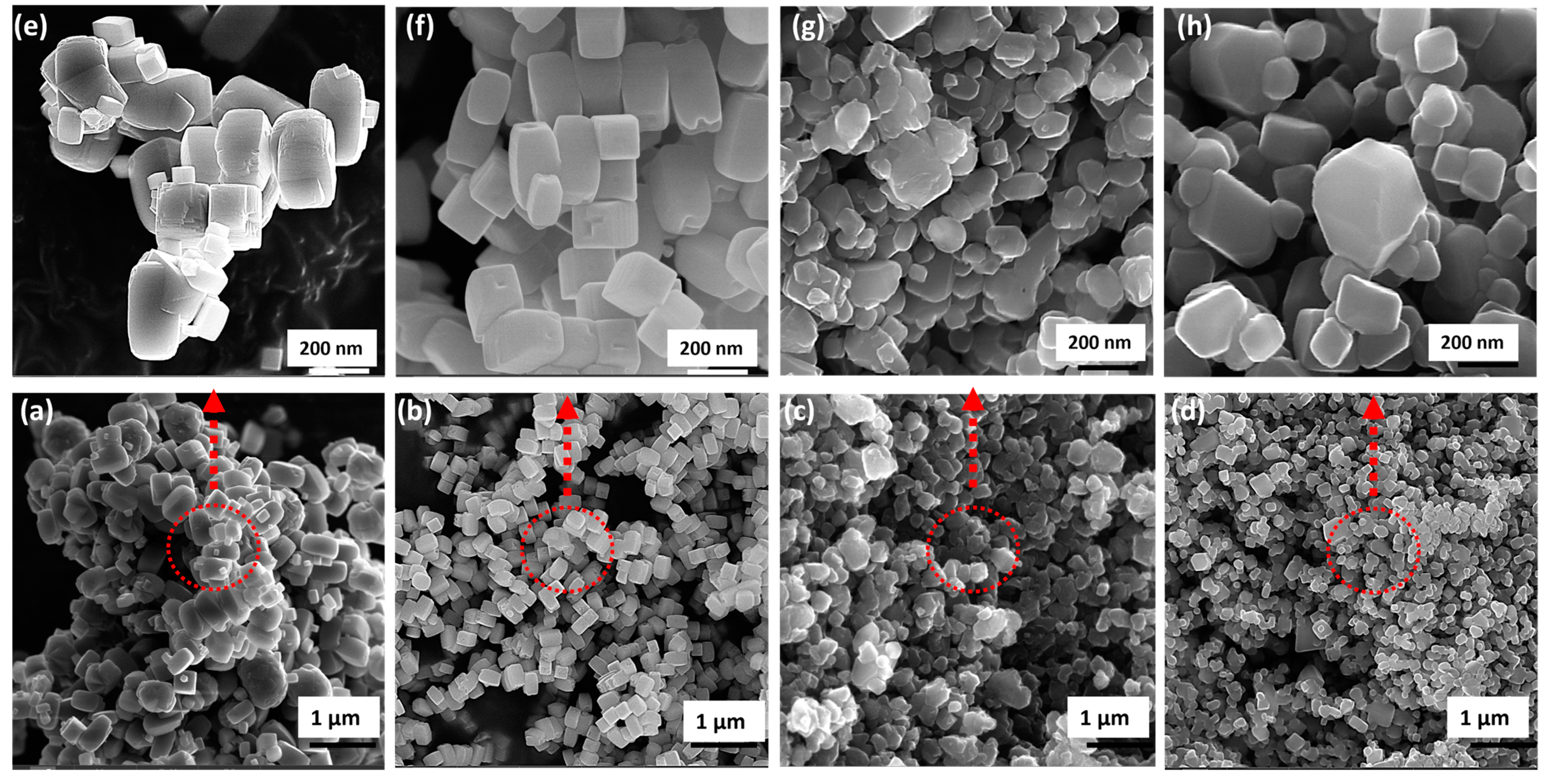 Molecules 30 00424 g001
