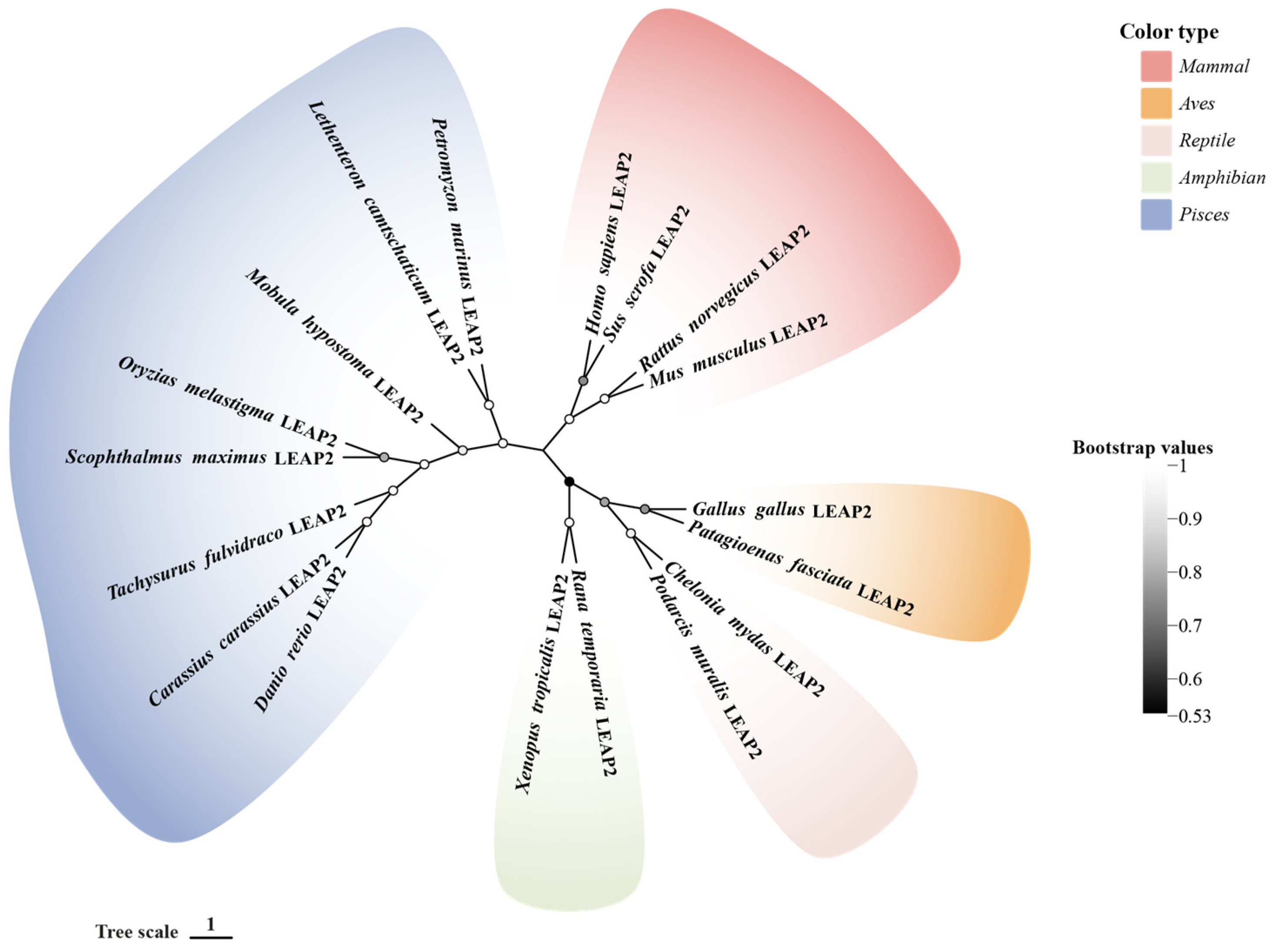 Molecules 30 00429 g001