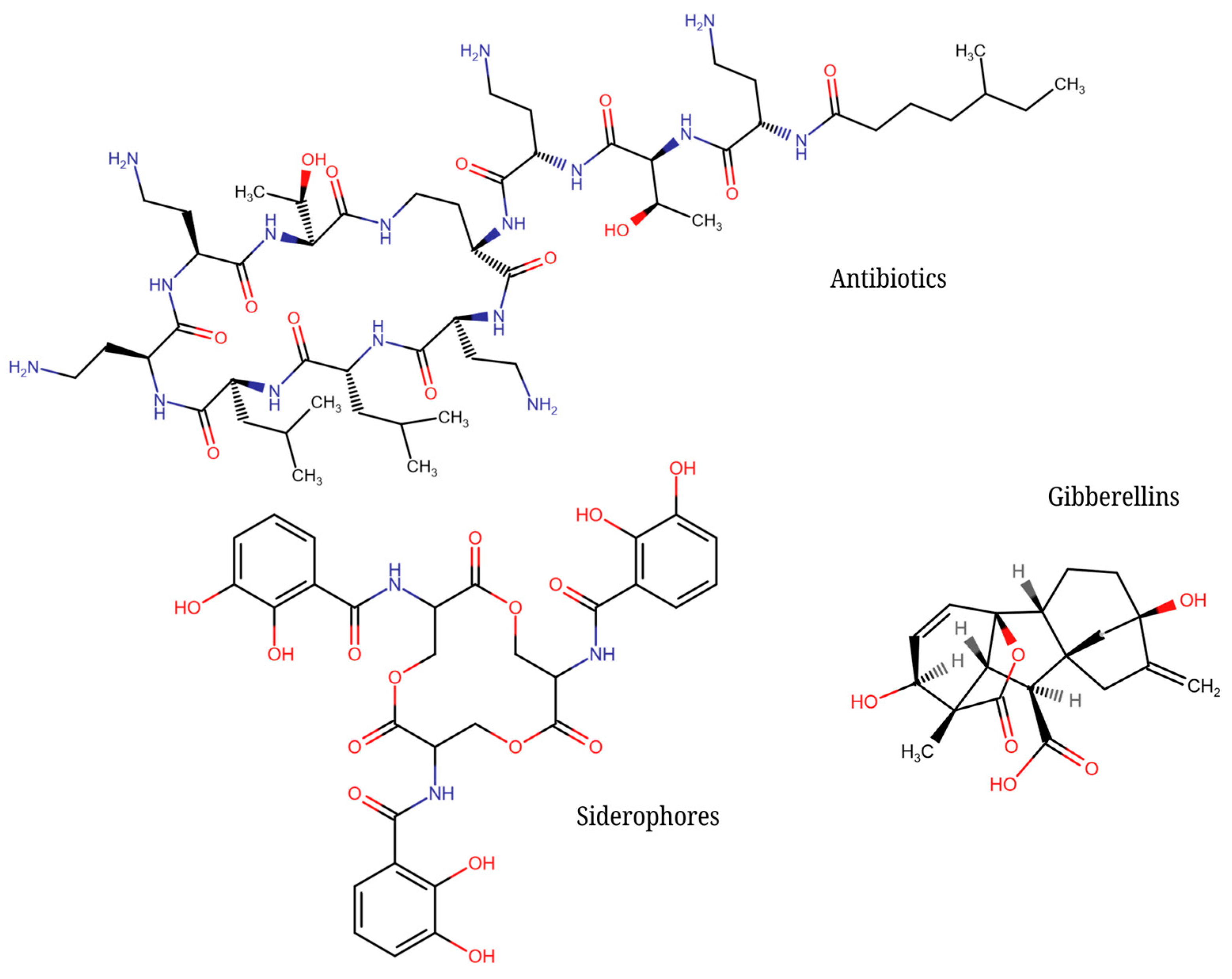 Molecules 30 00431 g002