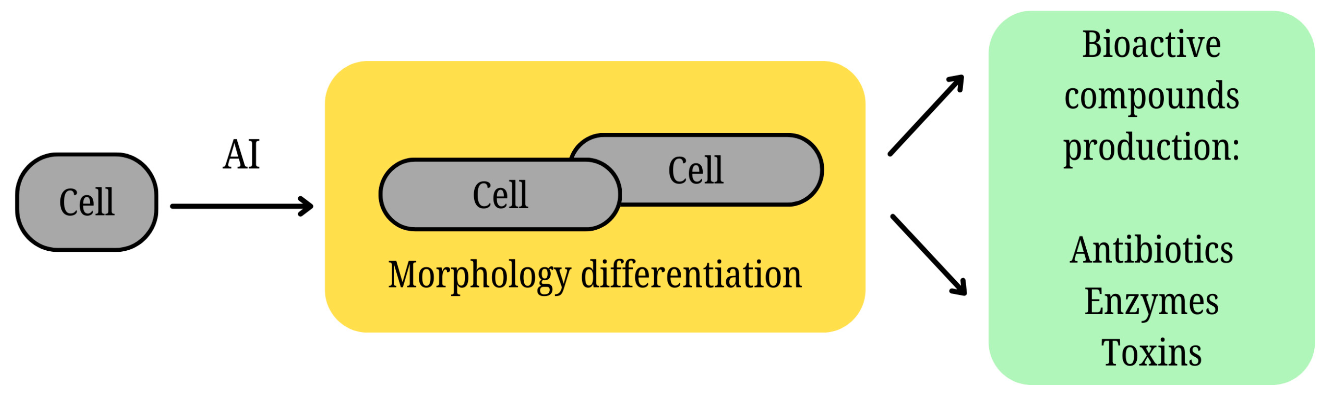 Molecules 30 00431 g004