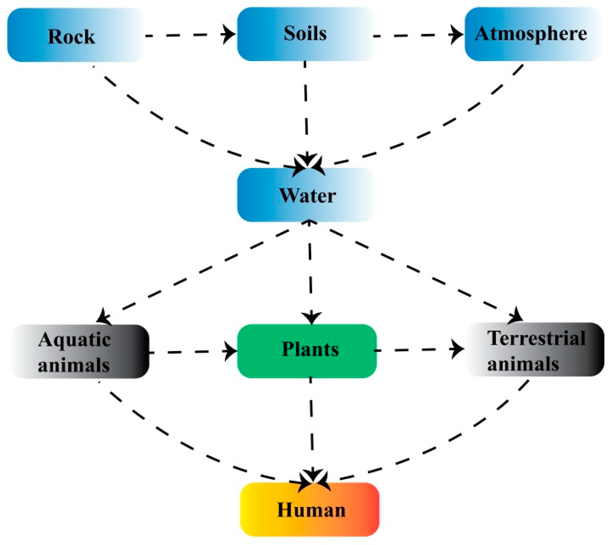 Molecules 30 00437 g001