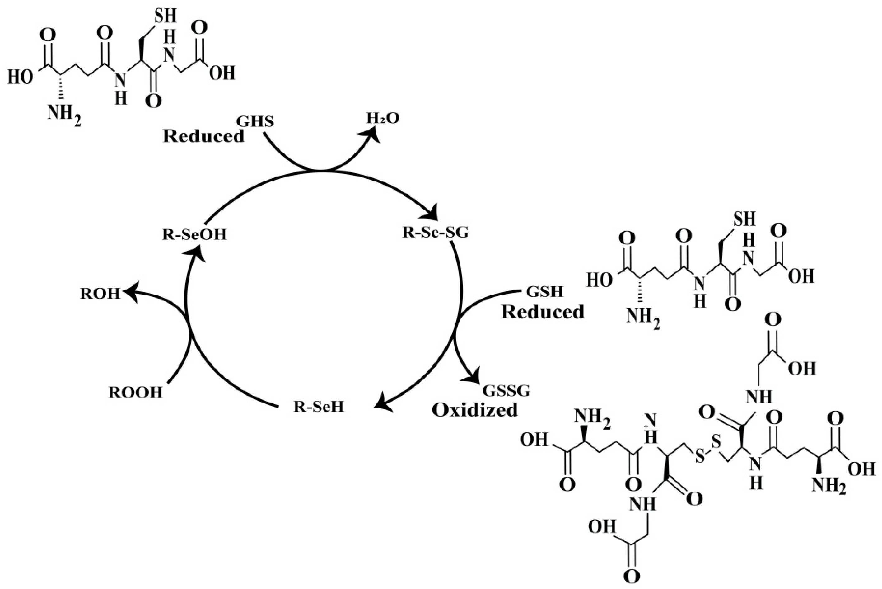 Molecules 30 00437 g003