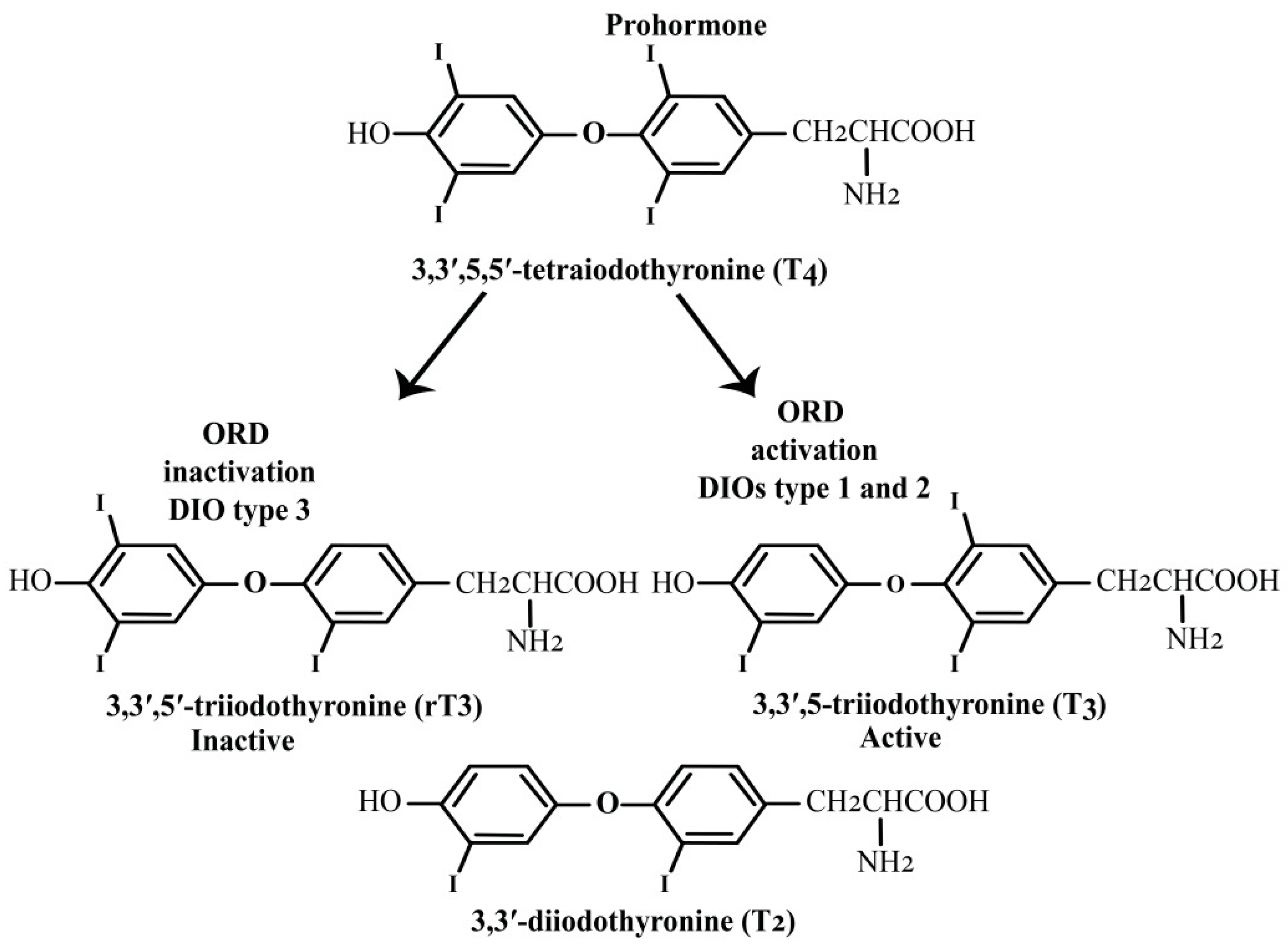 Molecules 30 00437 g005