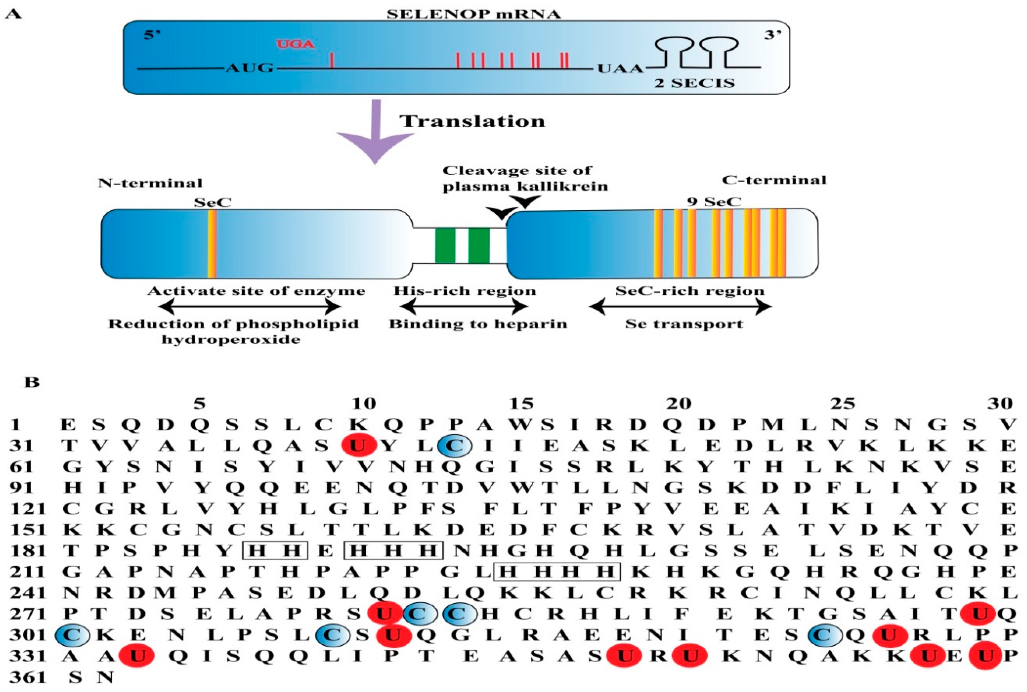 Molecules 30 00437 g006
