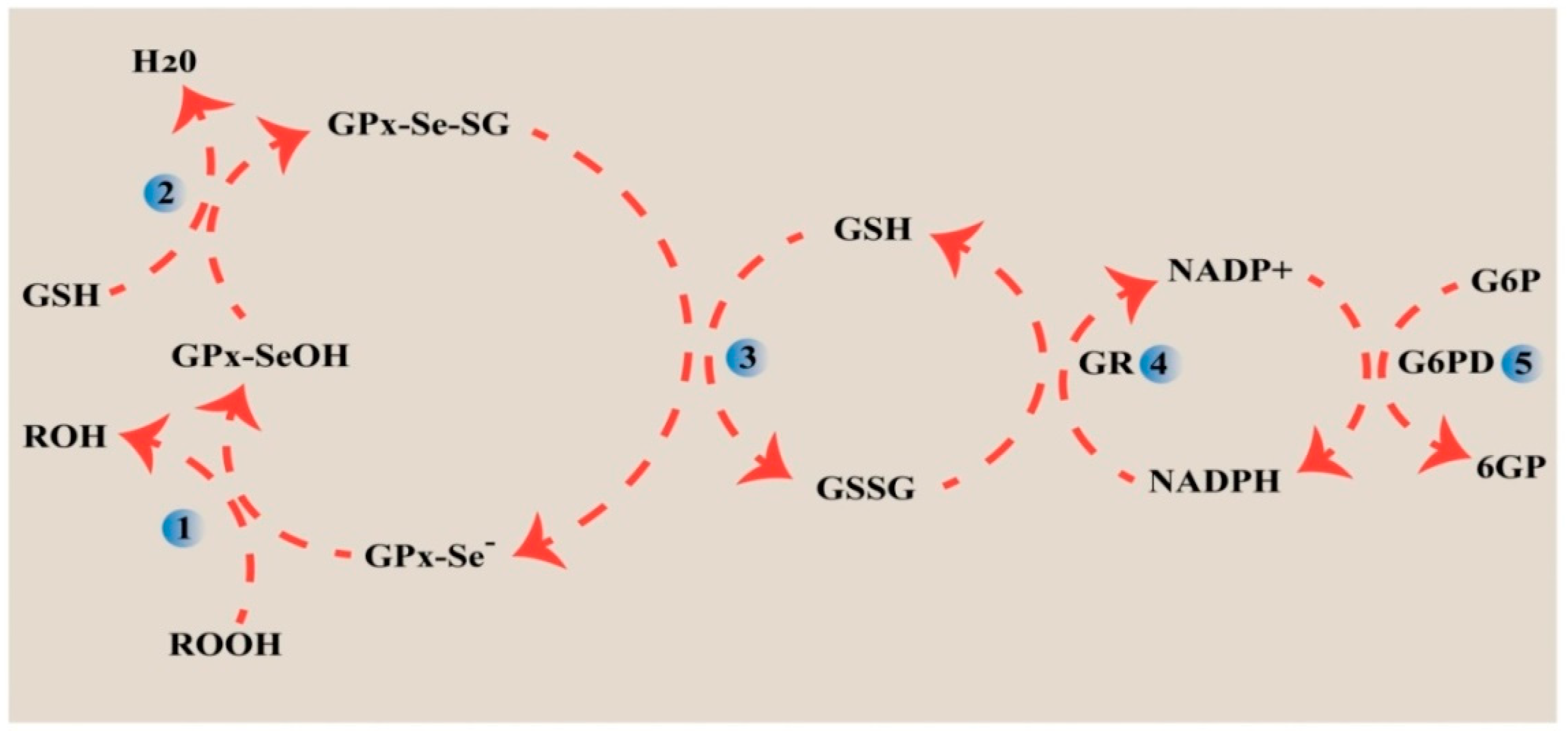 Molecules 30 00437 g007