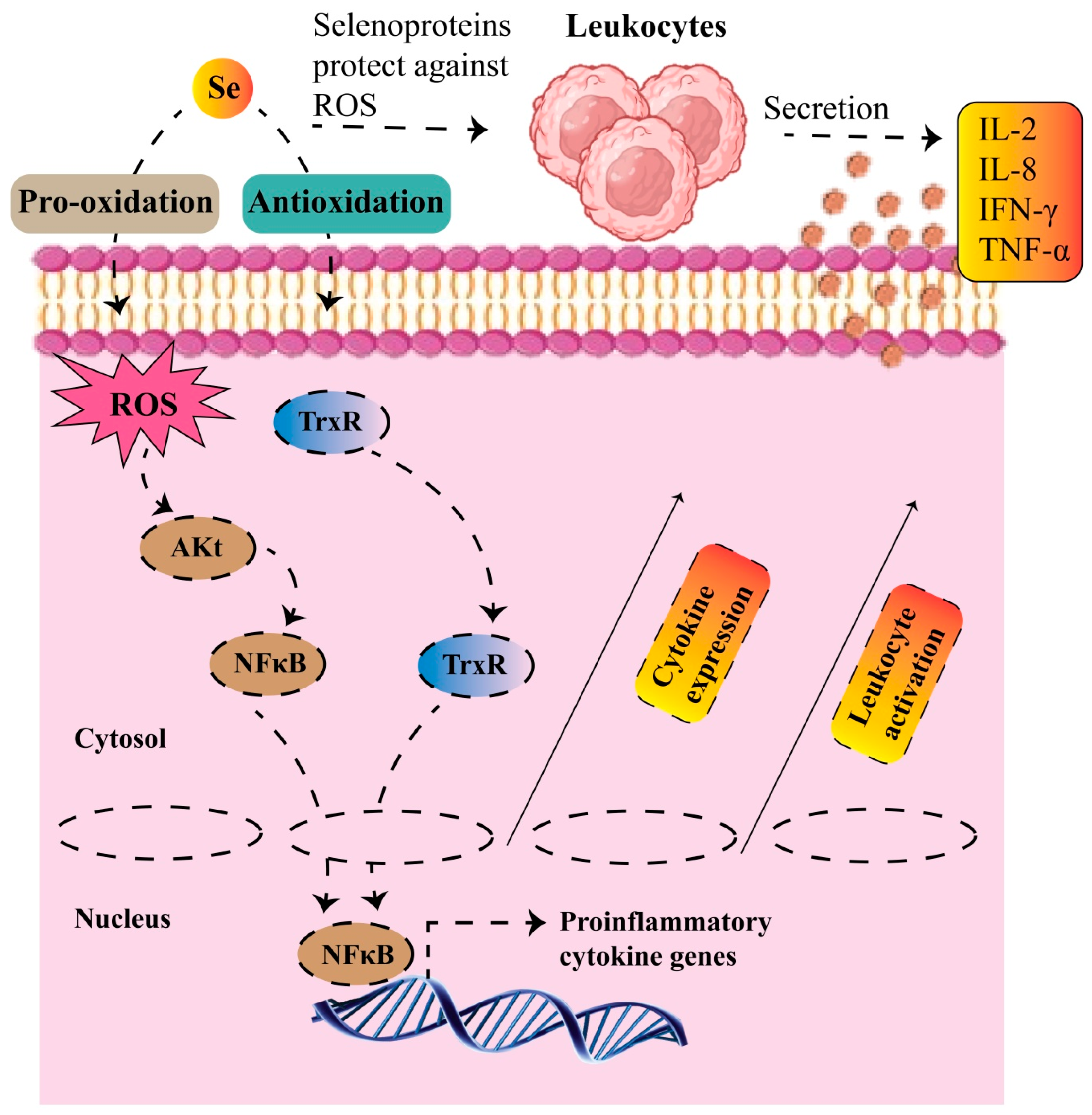 Molecules 30 00437 g008