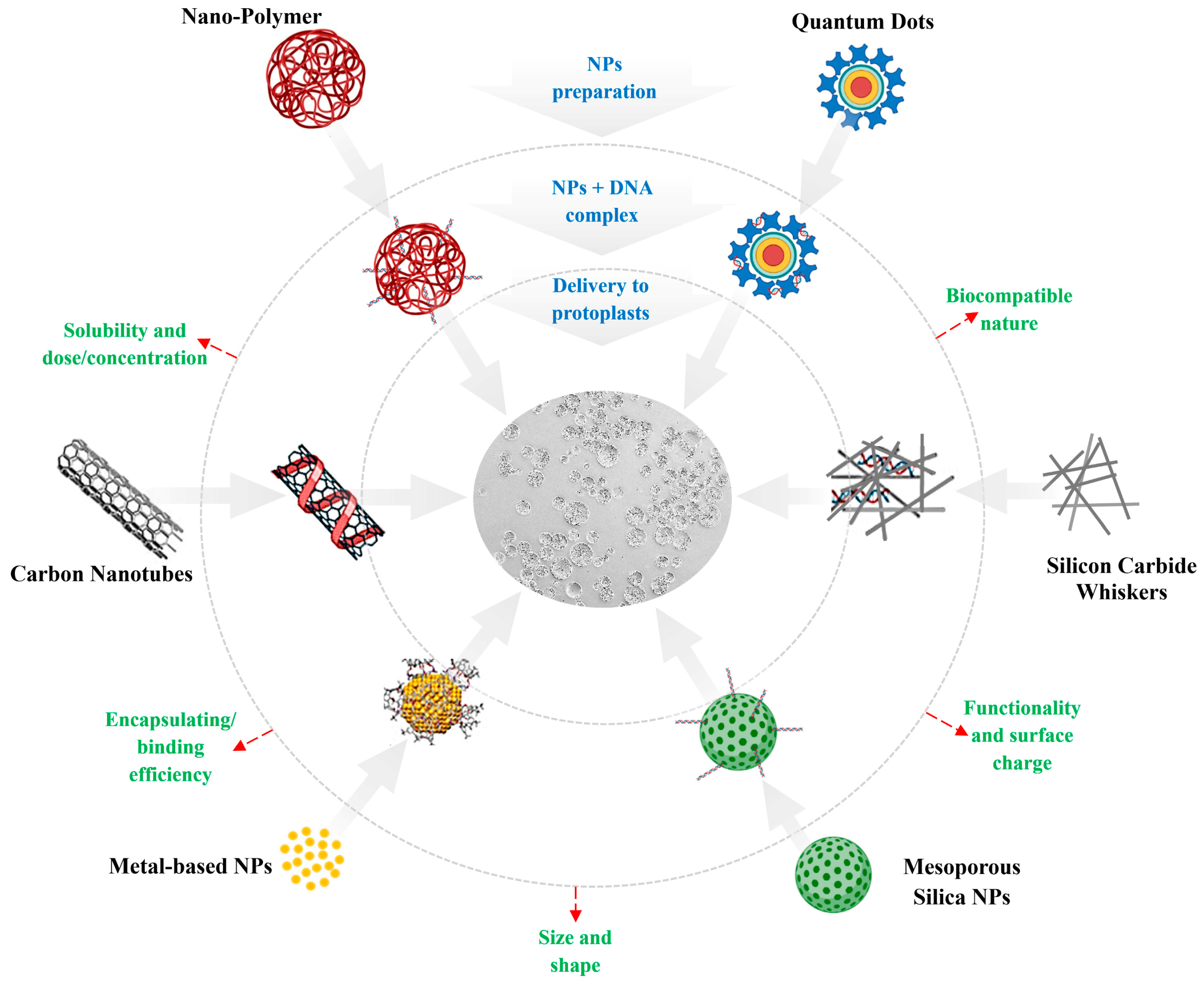 Molecules 30 00446 g001