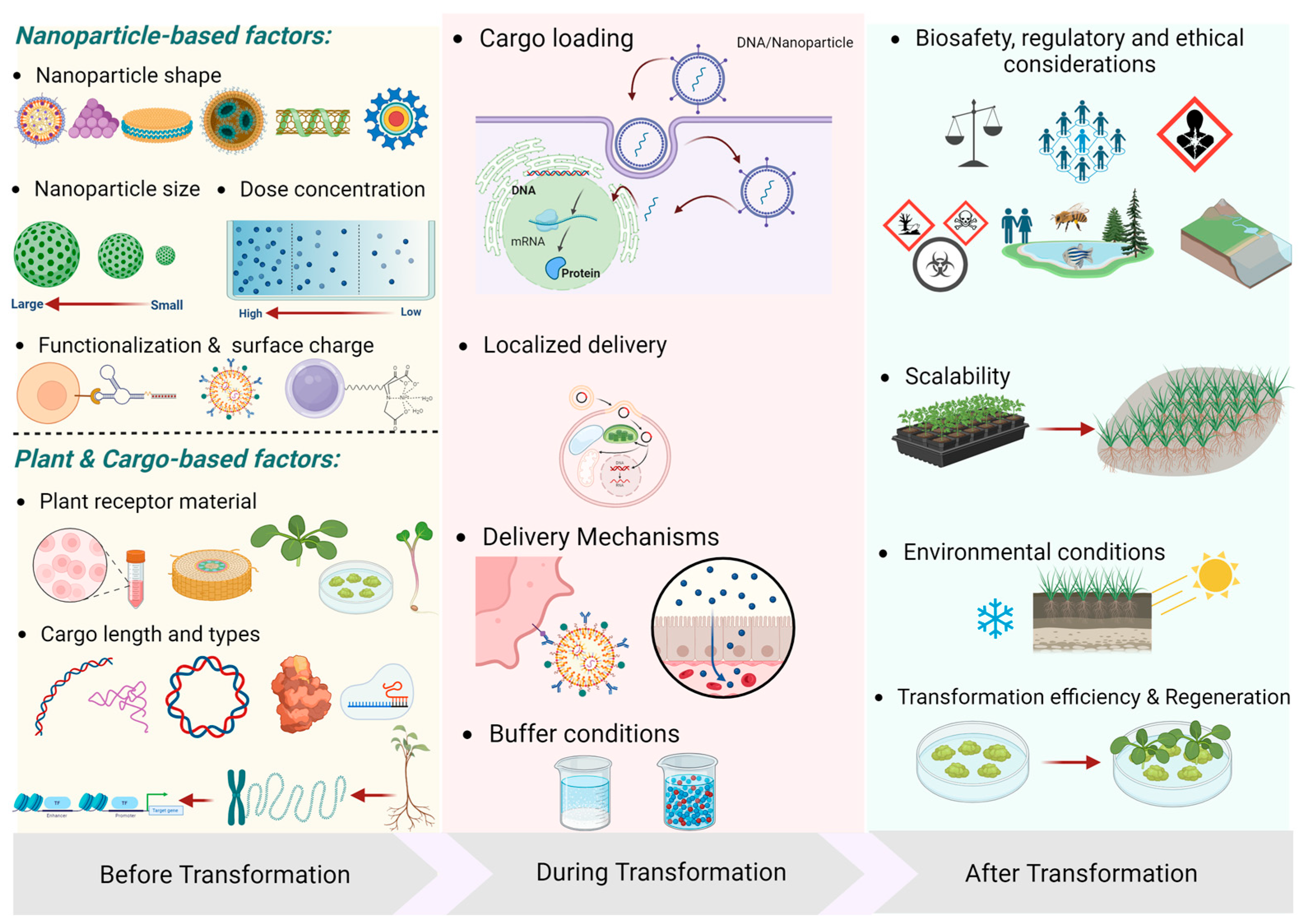 Molecules 30 00446 g002