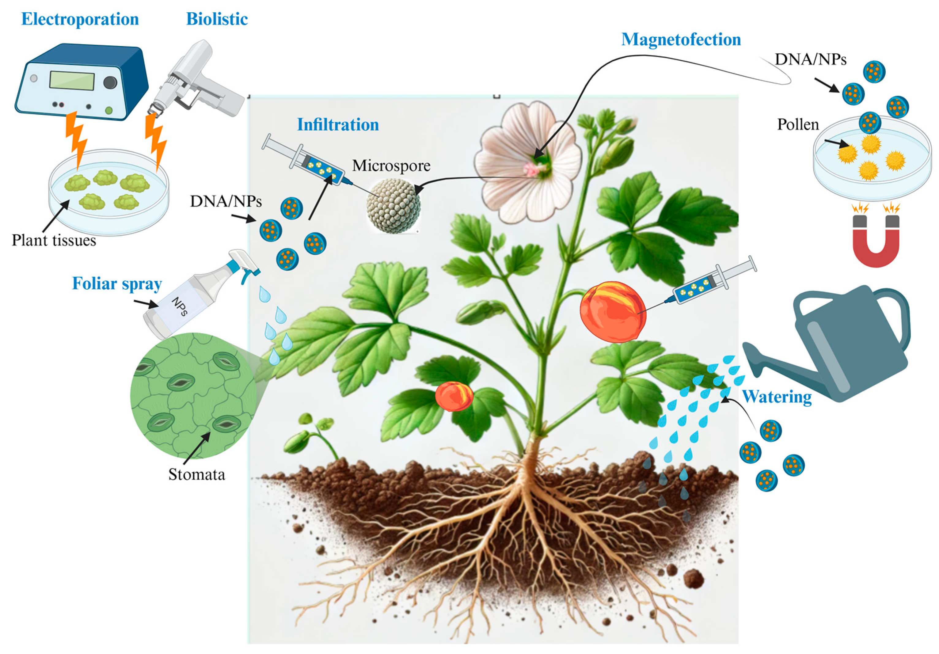 Molecules 30 00446 g003