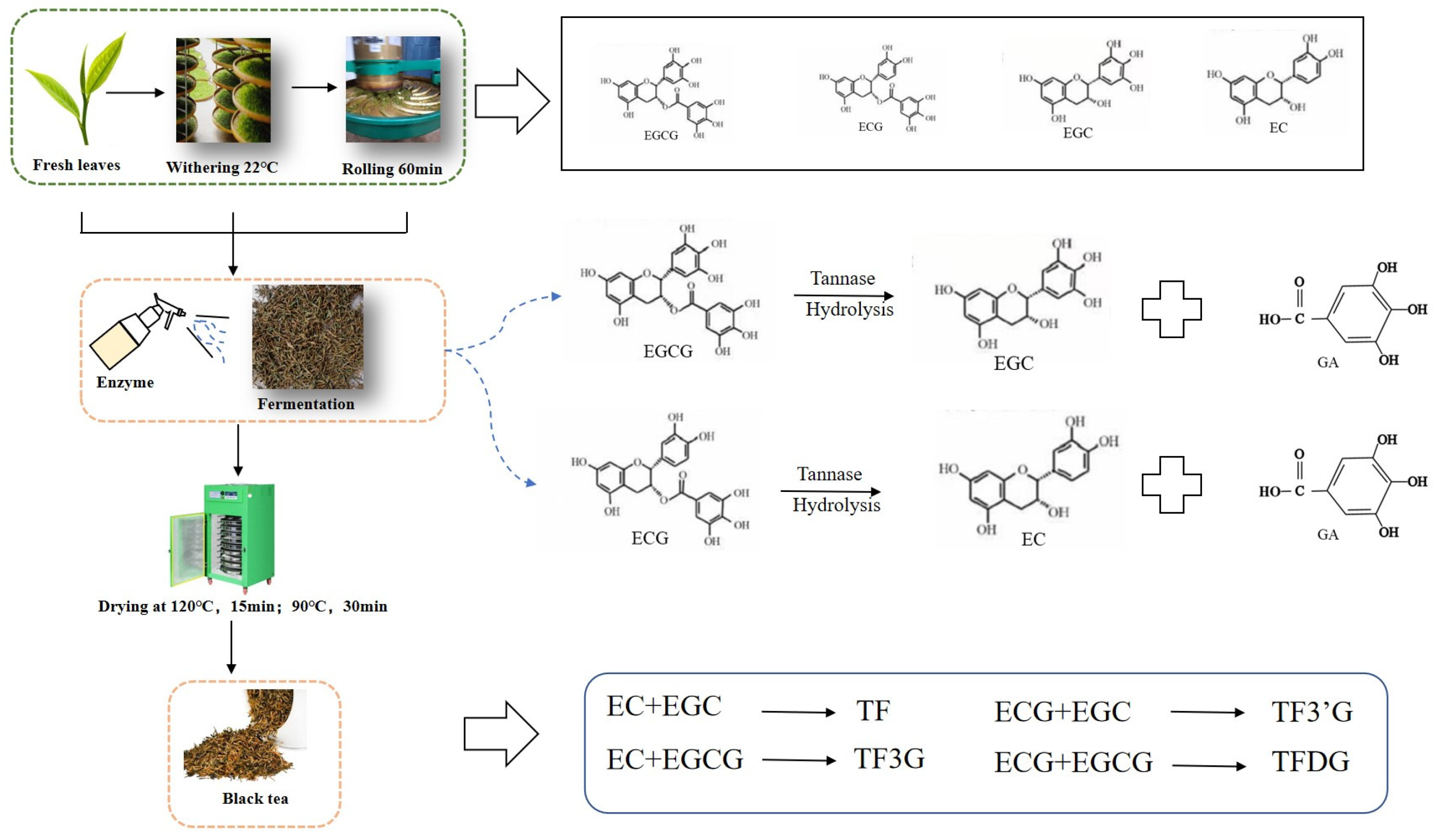 Molecules 30 00452 g007