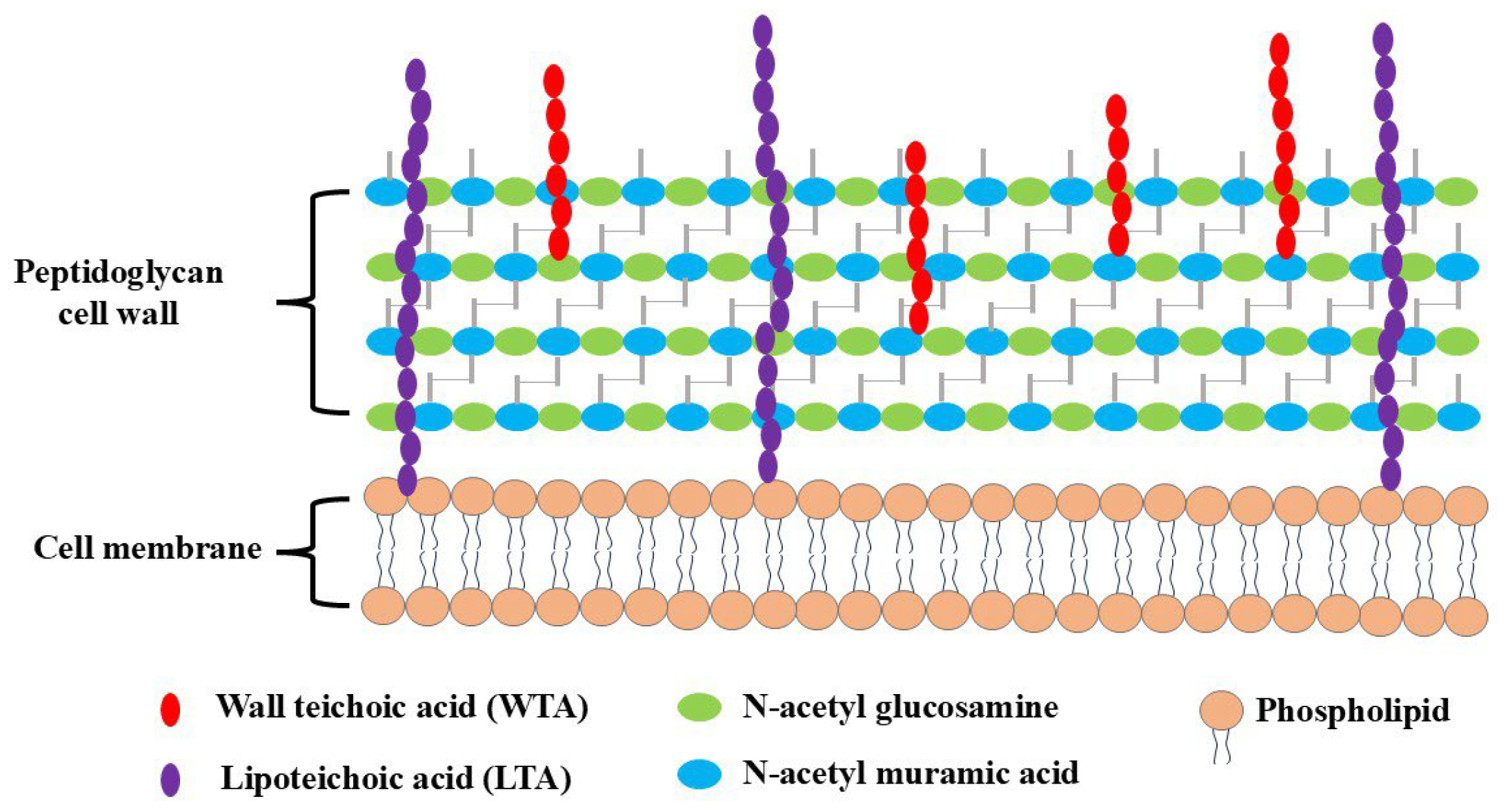 Molecules 30 00455 g002 Molecules 30 00455 g002