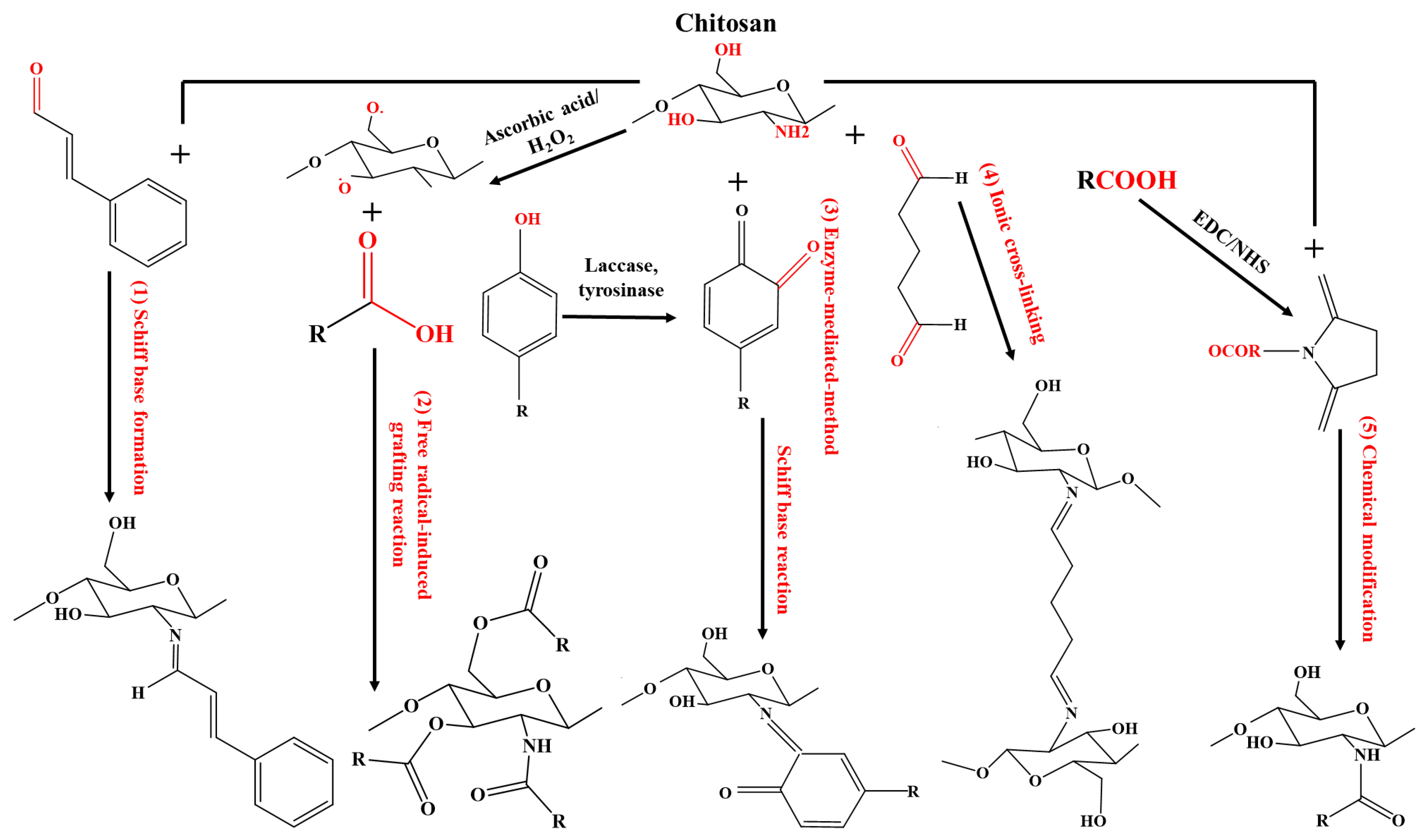Molecules 30 00455 g004 Molecules 30 00455 g004