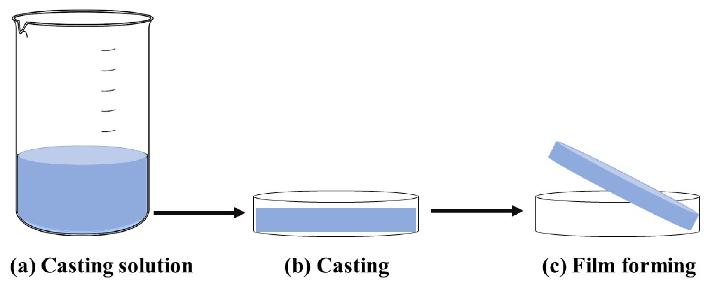 Molecules 30 00455 g006 Molecules 30 00455 g006