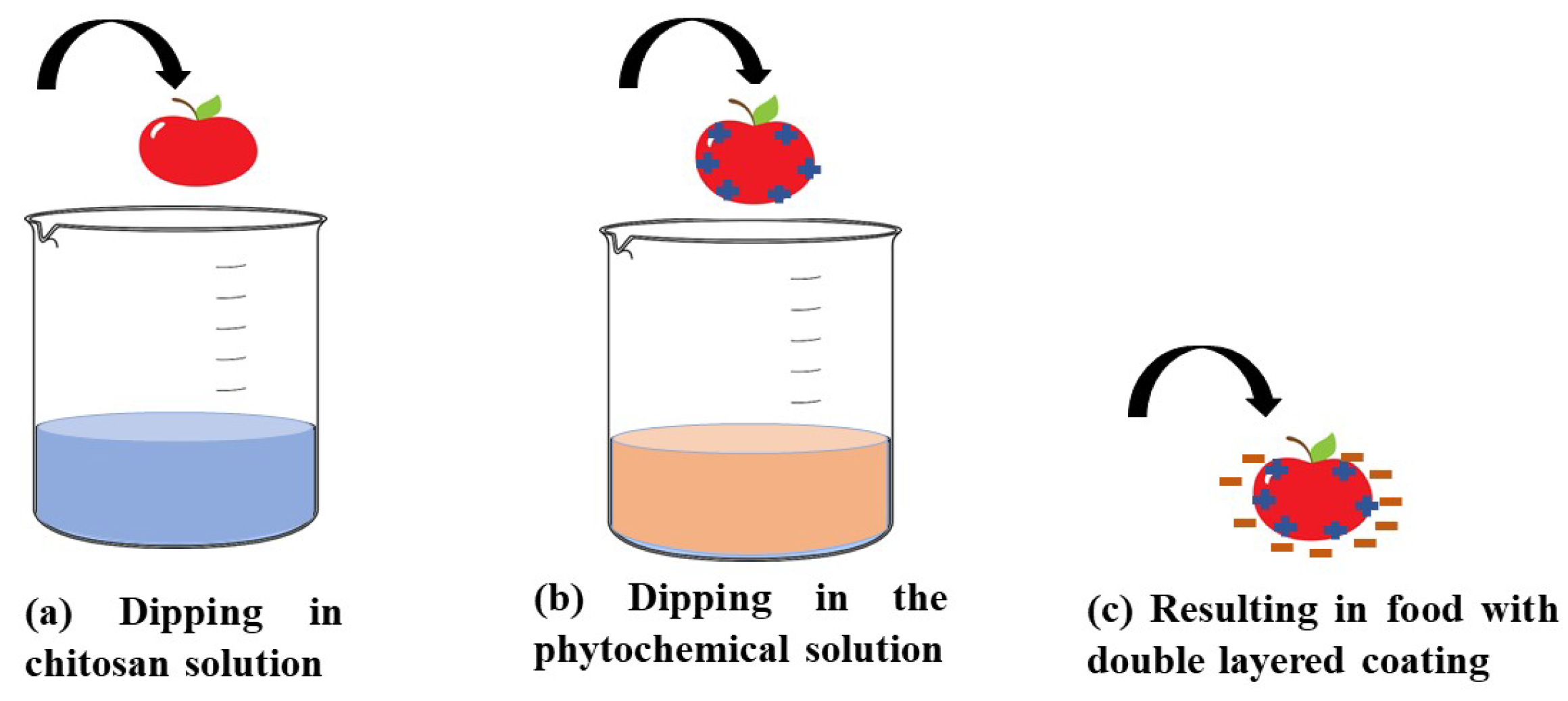 Molecules 30 00455 g007 Molecules 30 00455 g007