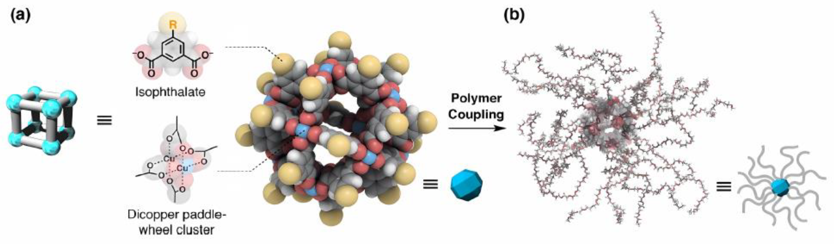 Molecules 30 00462 g004