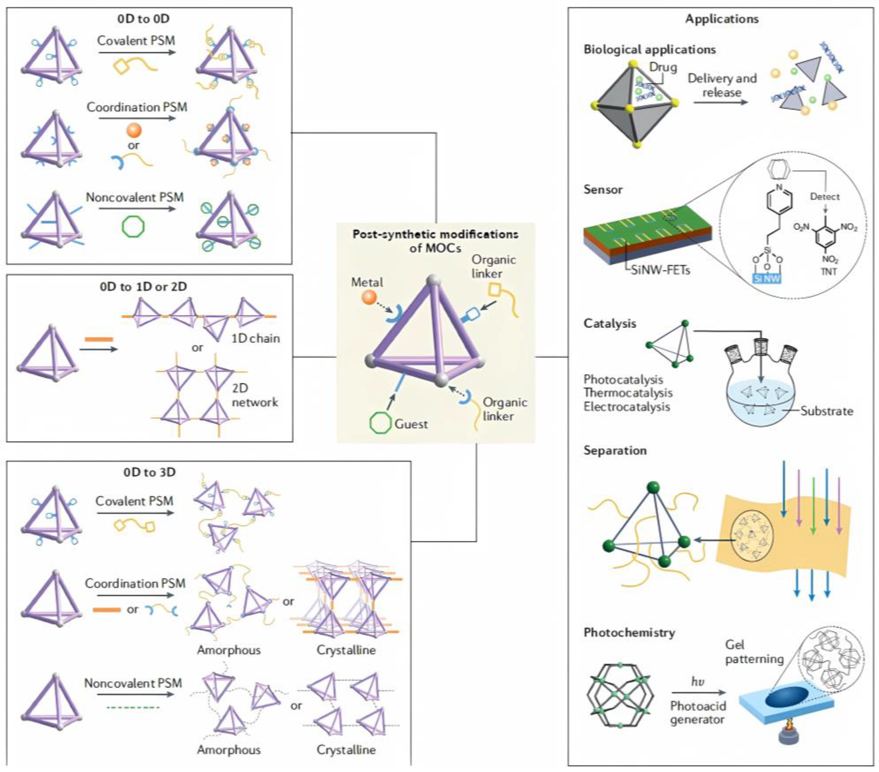 Molecules 30 00462 g005