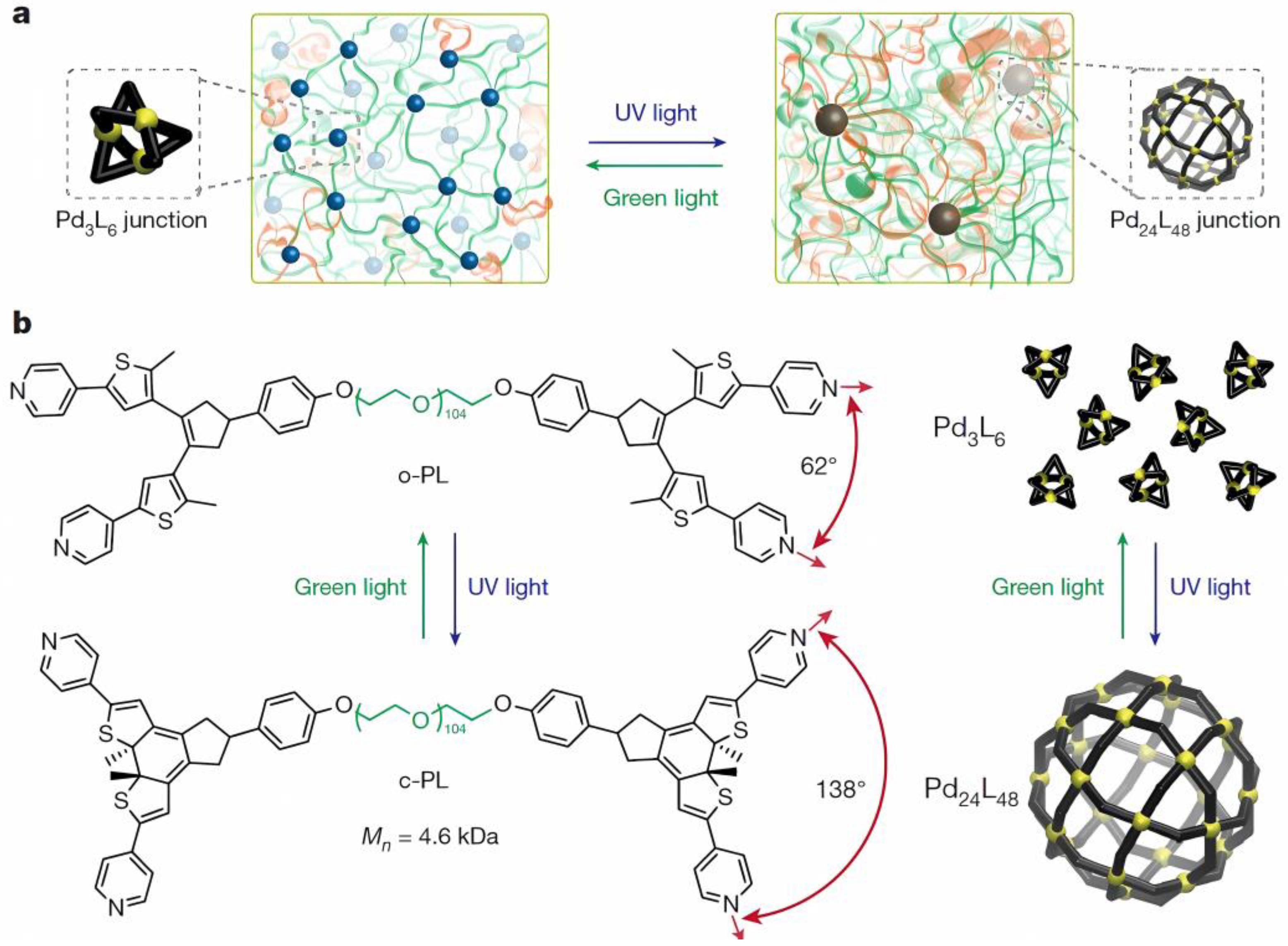 Molecules 30 00462 g008
