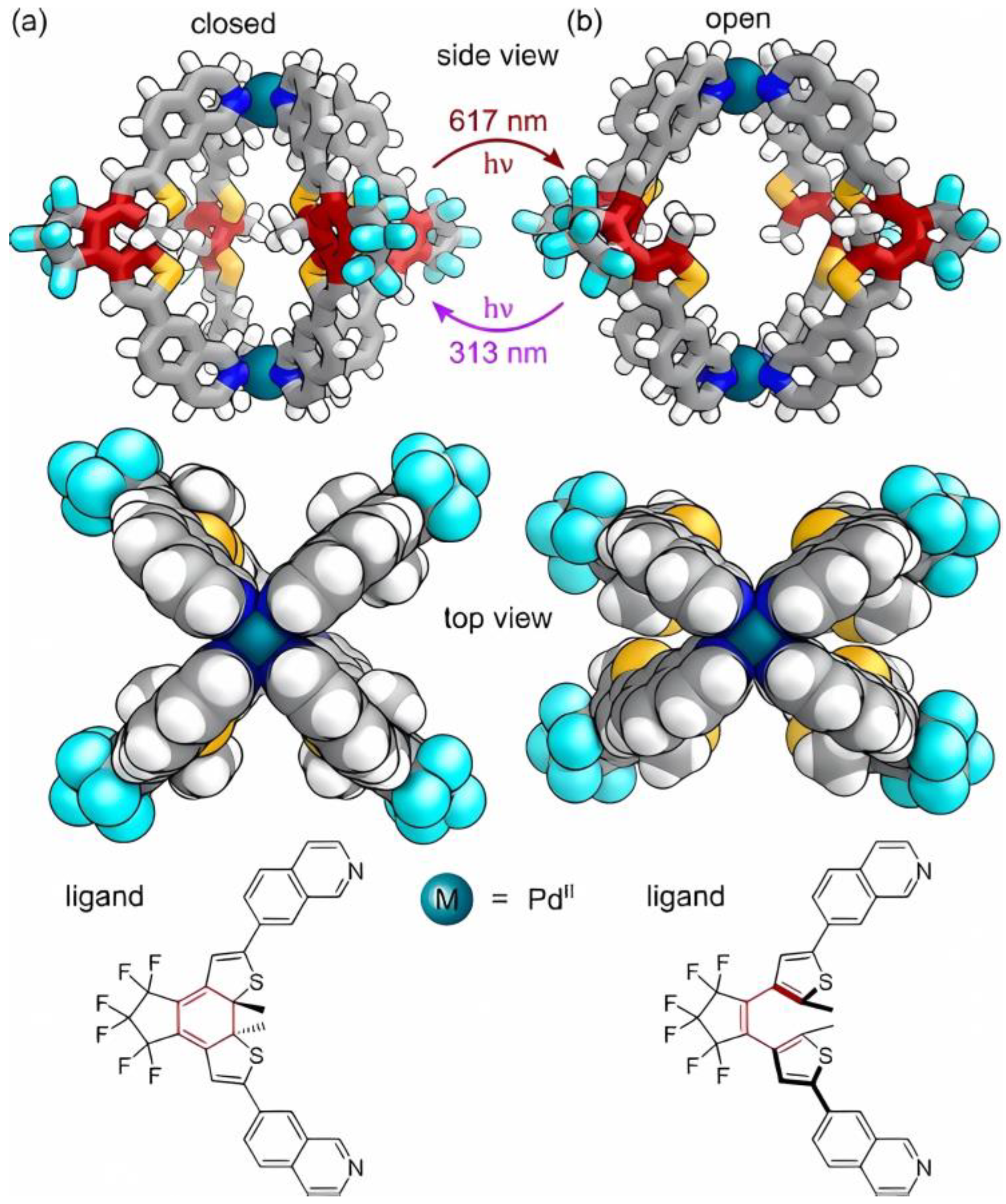 Molecules 30 00462 g010