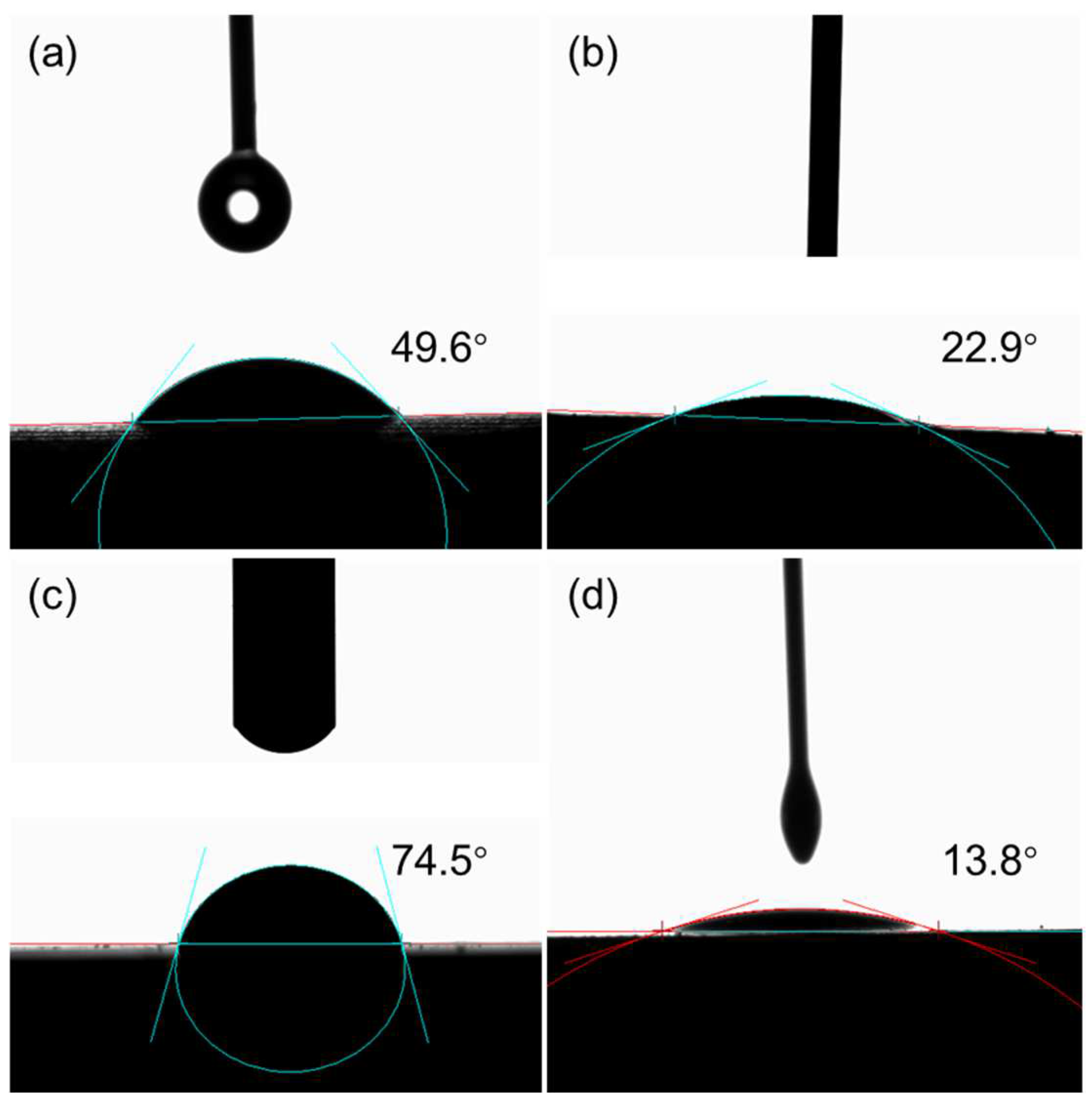 Molecules 30 00463 g005