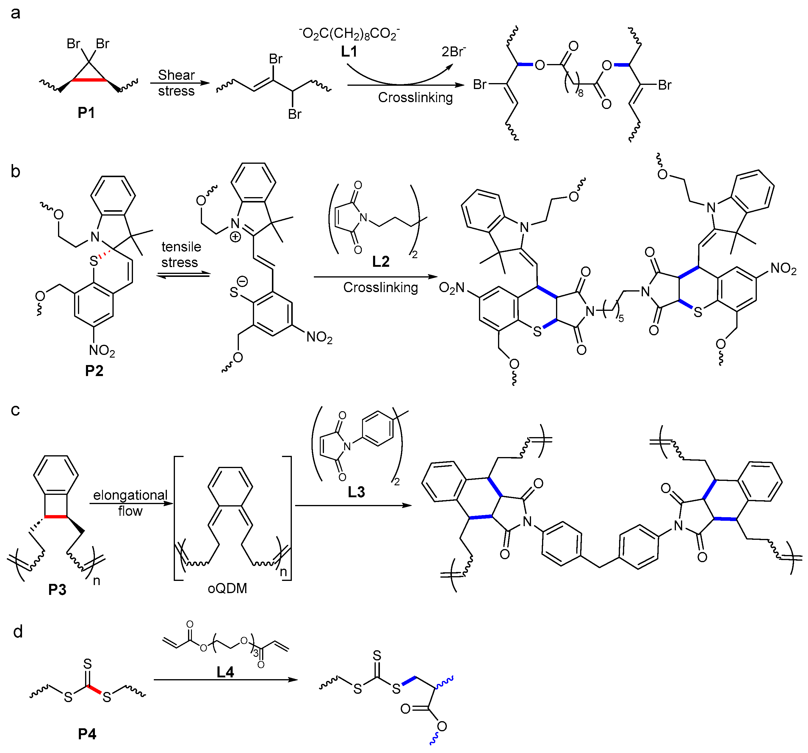 Molecules 30 00469 g003