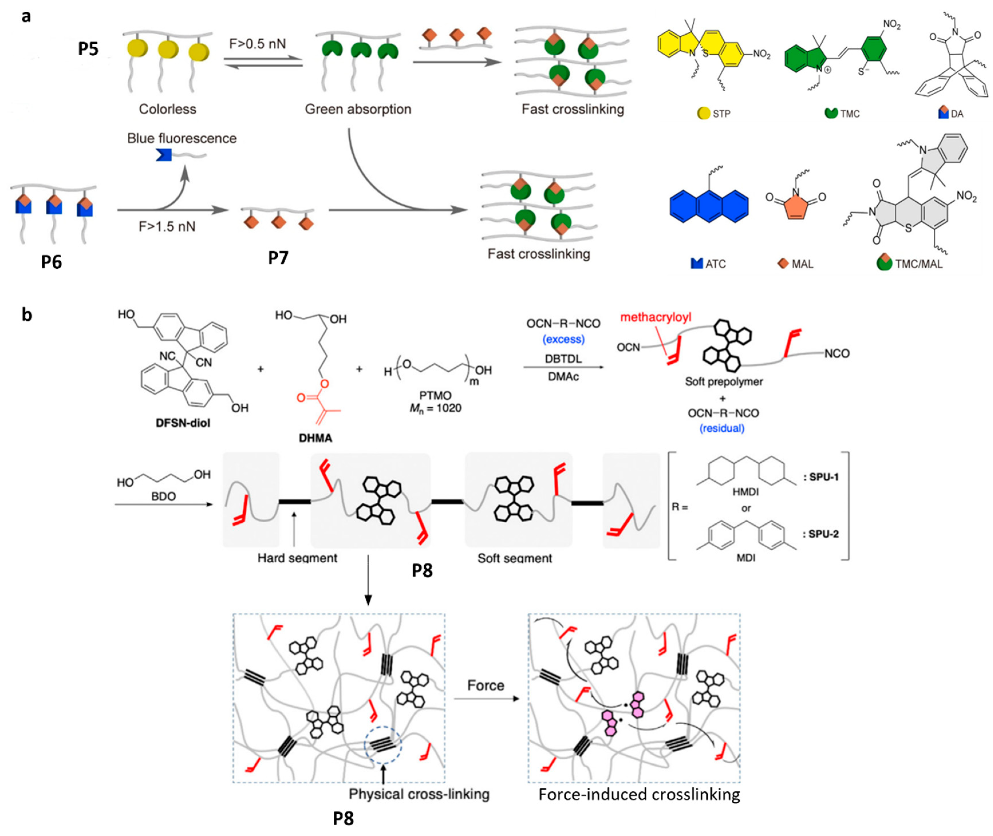 Molecules 30 00469 g005