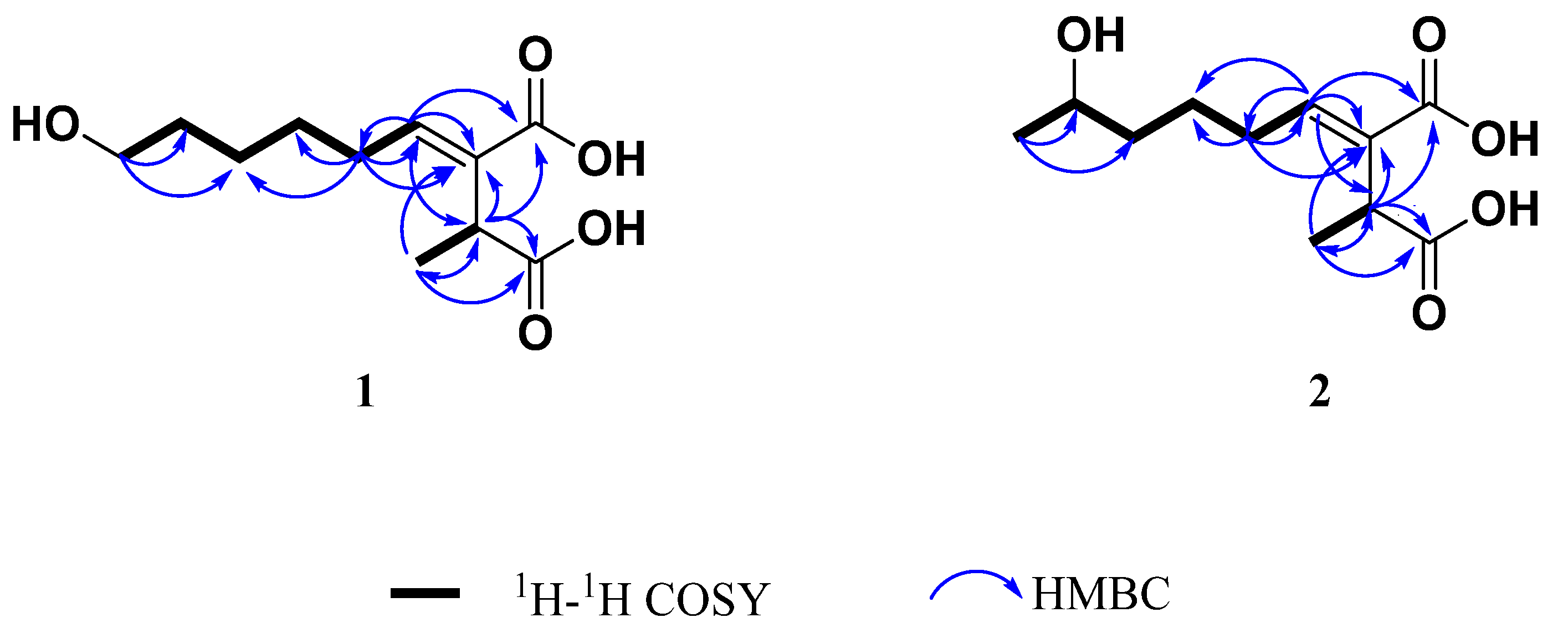 Molecules 30 00470 g003