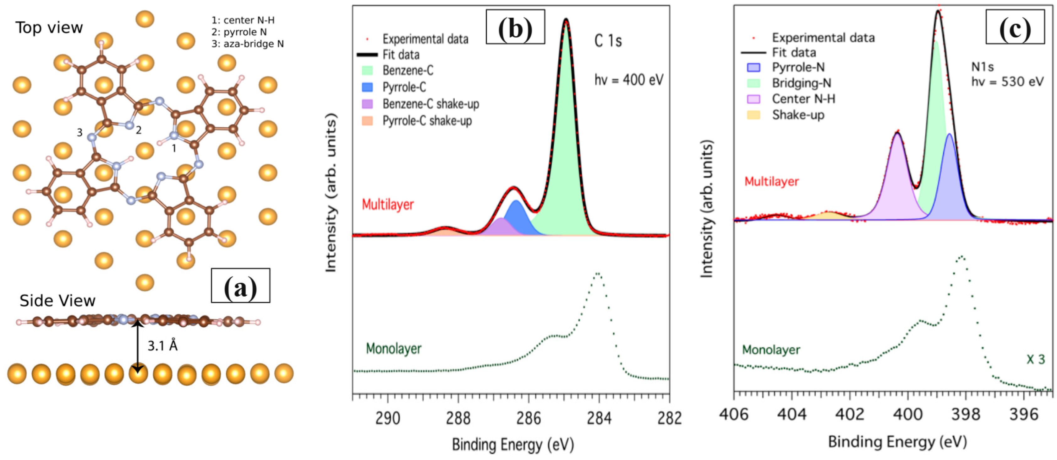 Molecules 30 00471 g002 Molecules 30 00471 g002