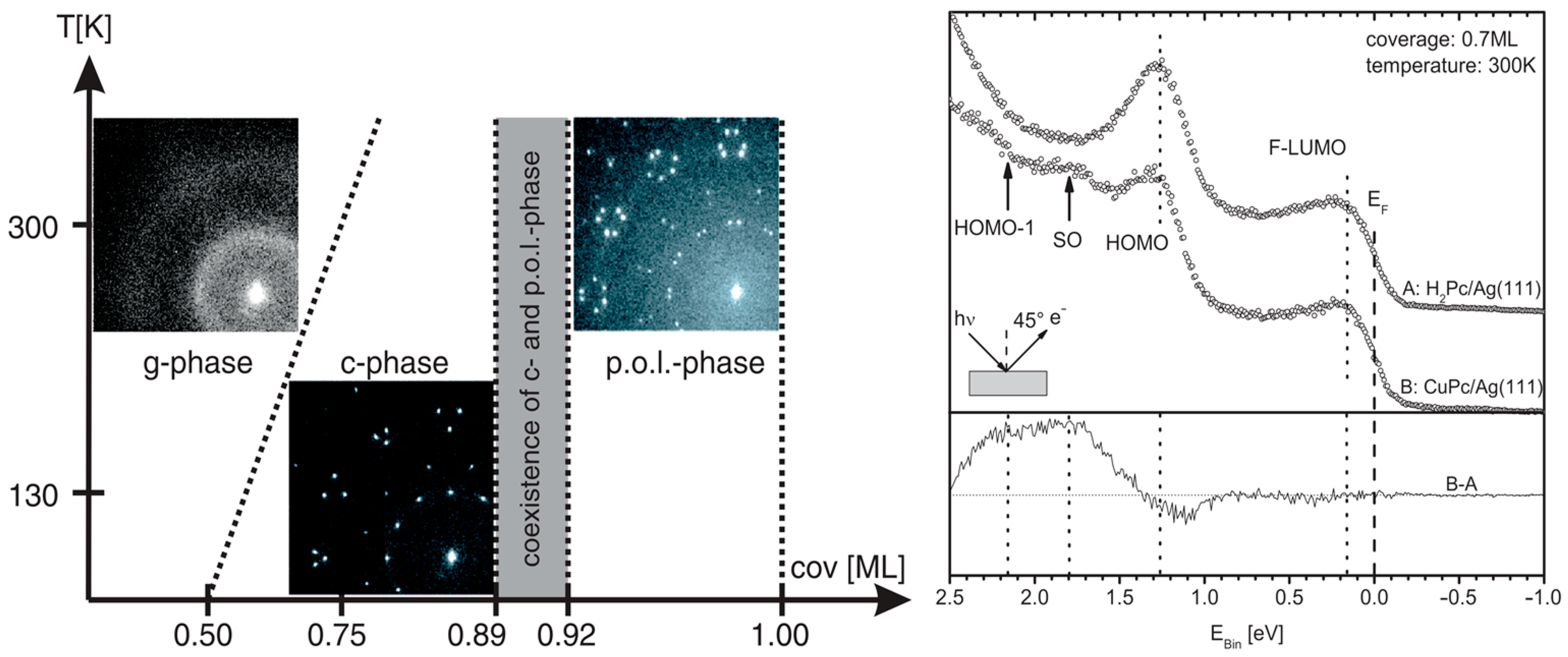 Molecules 30 00471 g003 Molecules 30 00471 g003