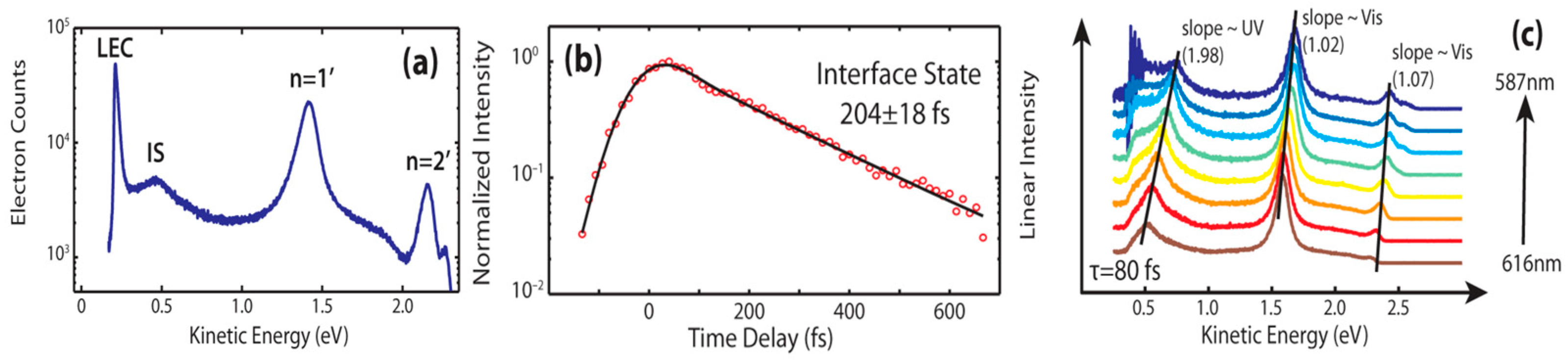 Molecules 30 00471 g005 Molecules 30 00471 g005