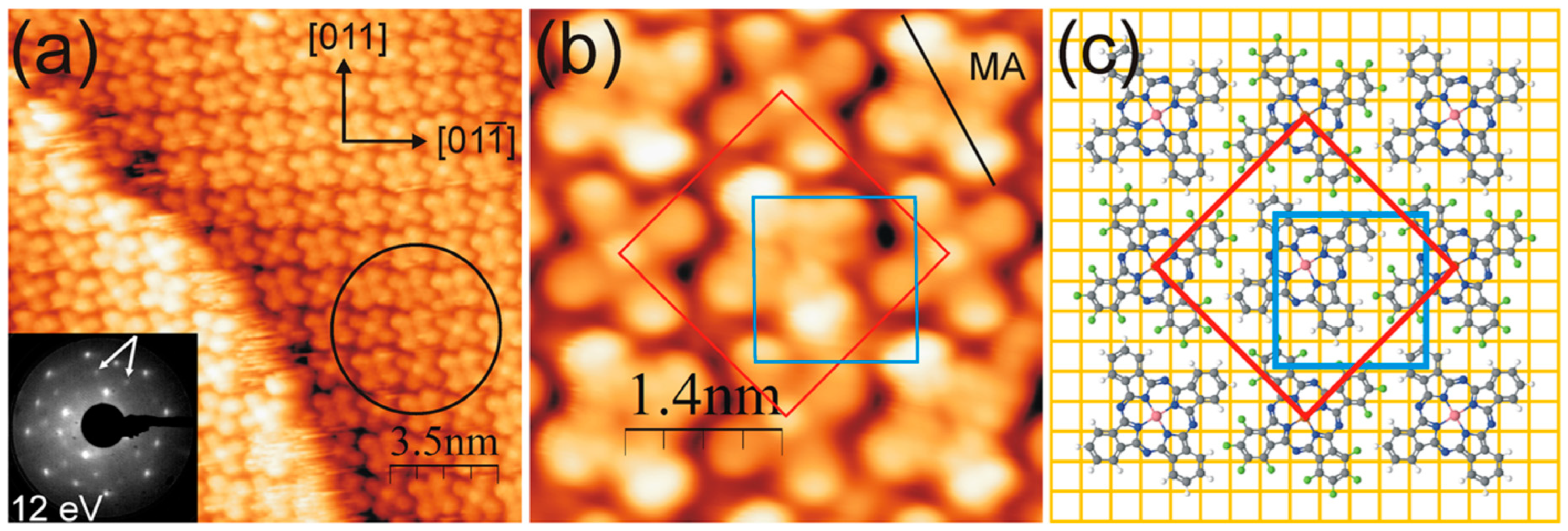 Molecules 30 00471 g011 Molecules 30 00471 g011