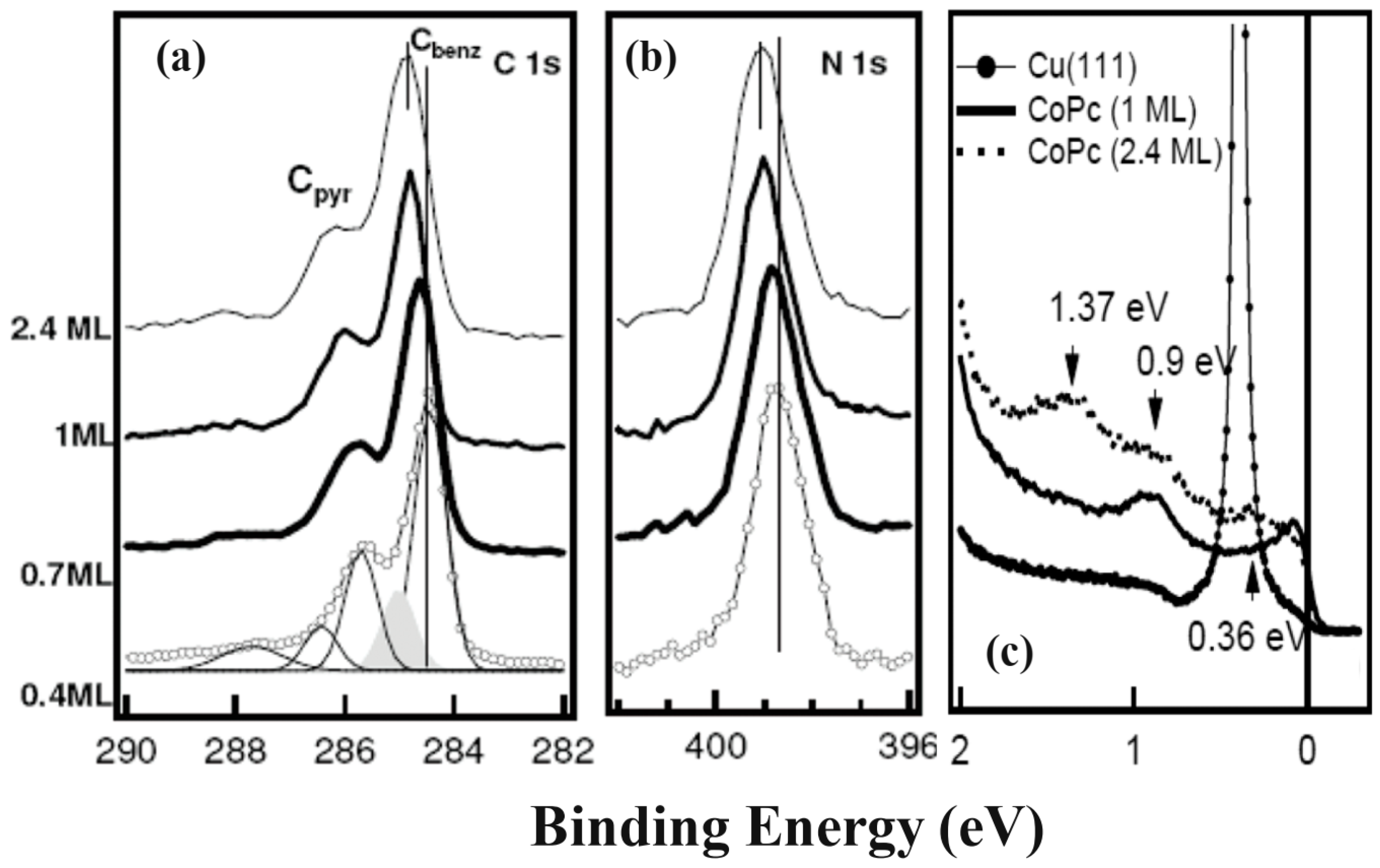 Molecules 30 00471 g012 Molecules 30 00471 g012