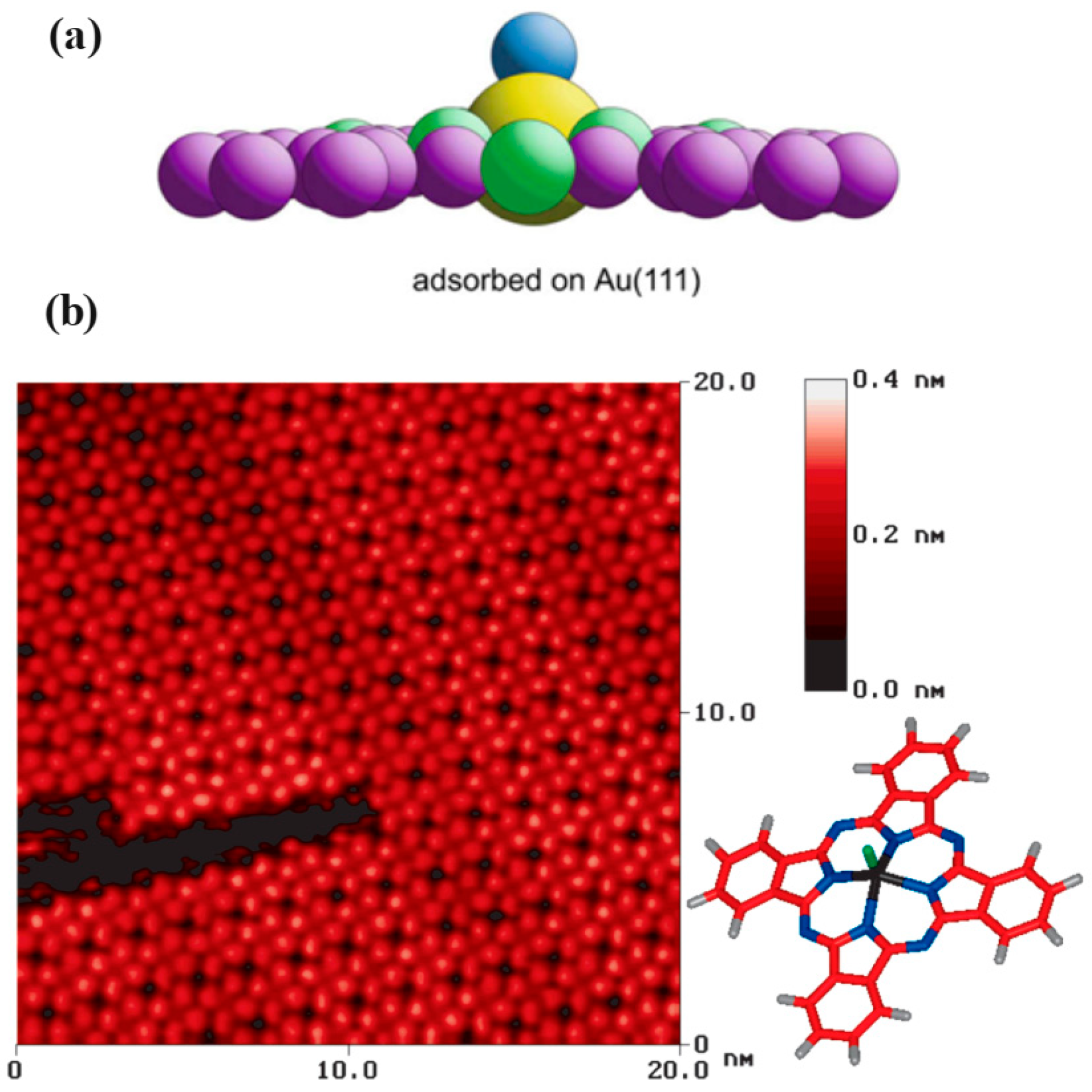 Molecules 30 00471 g013 Molecules 30 00471 g013