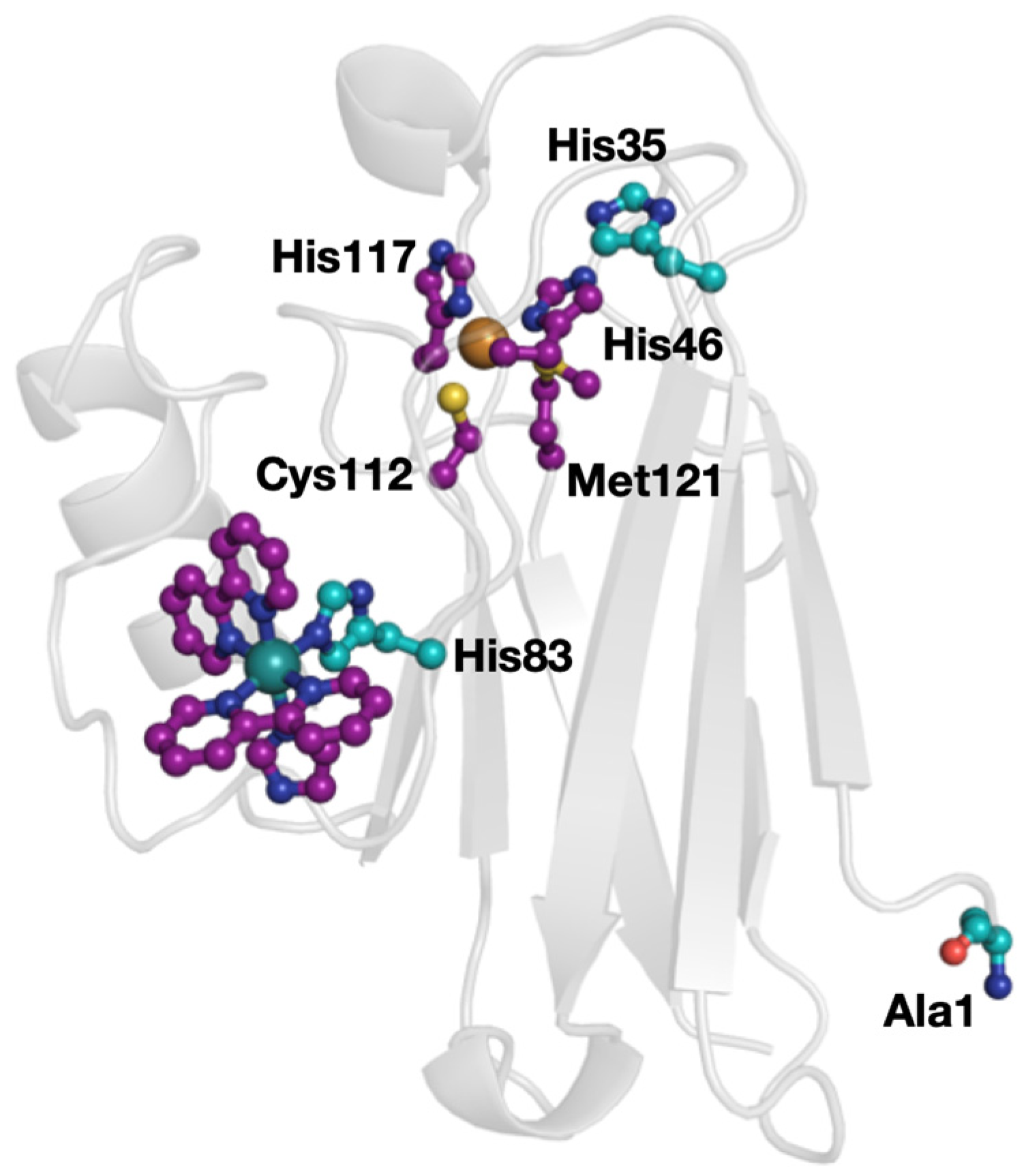 Molecules 30 00472 g001
