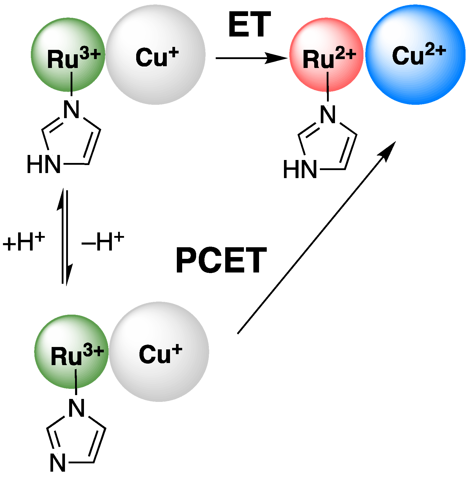 Molecules 30 00472 g004