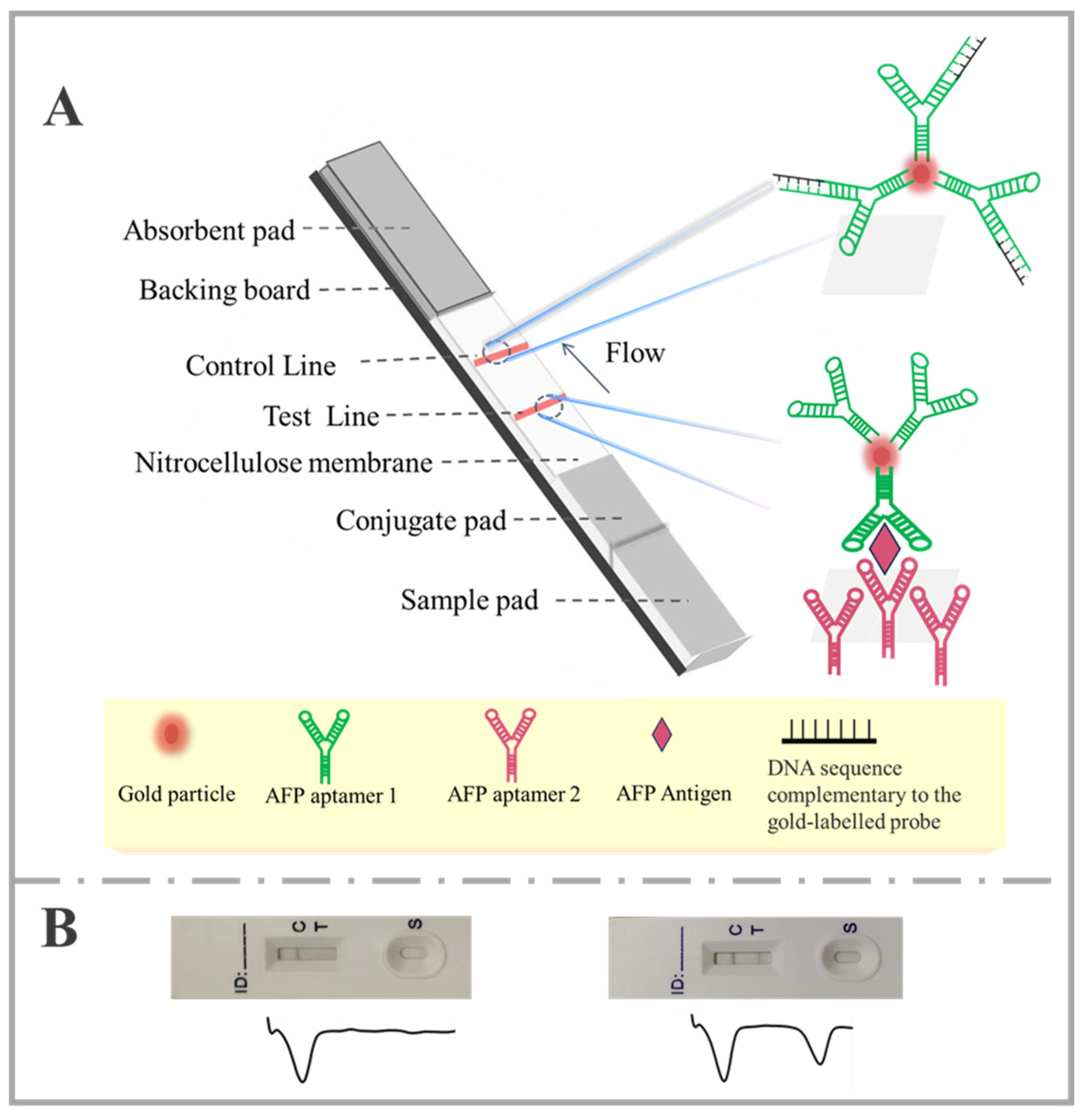 Molecules 30 00484 g001