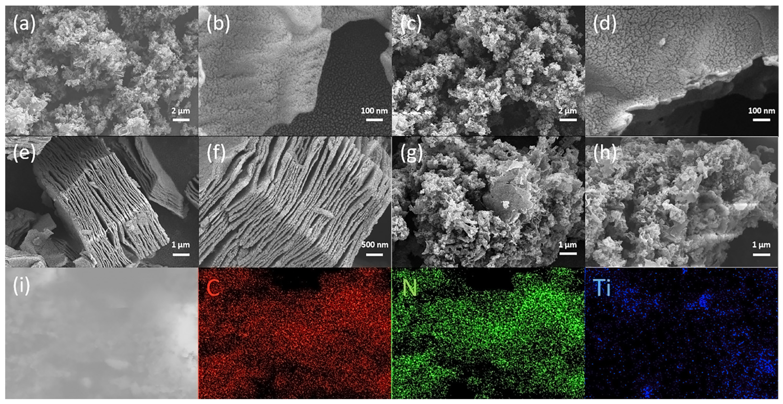 Molecules 30 00487 g003