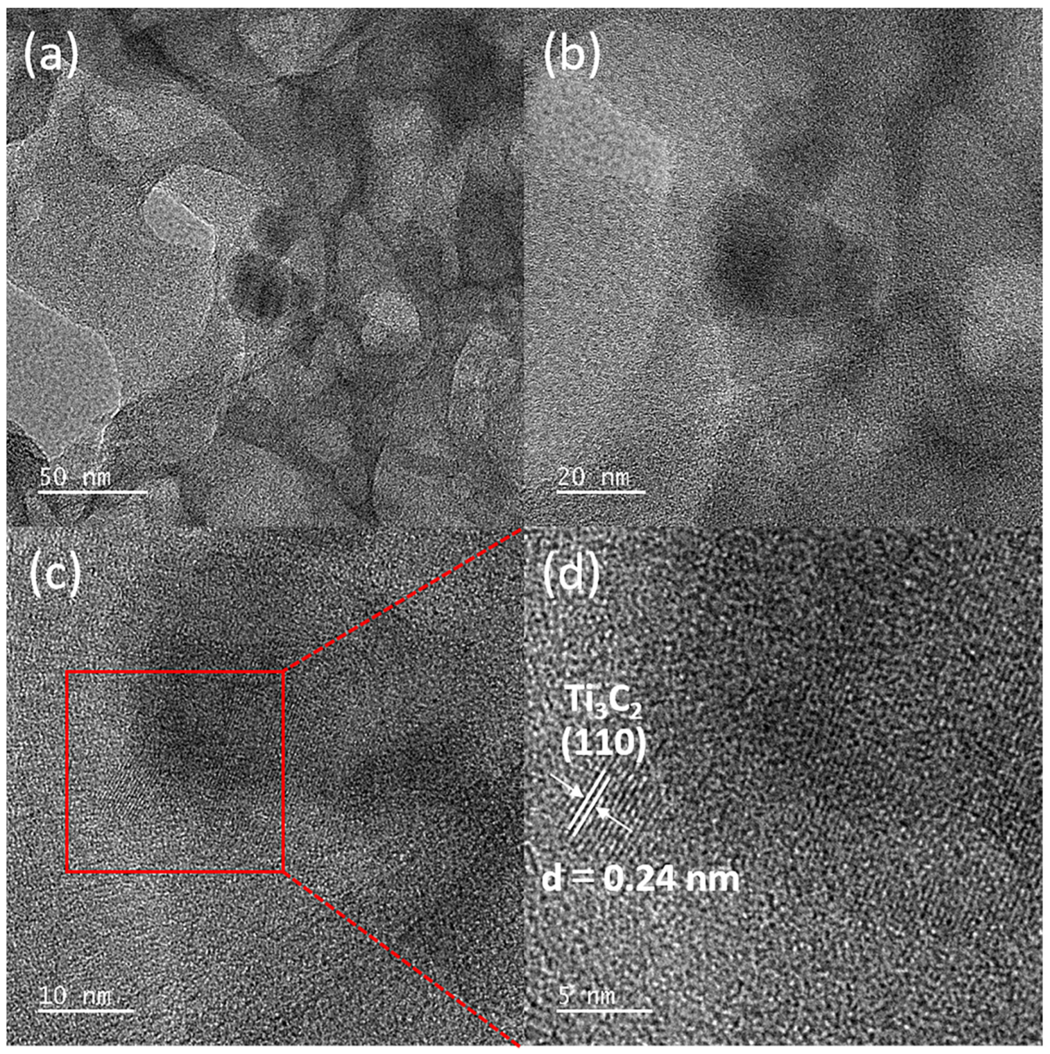 Molecules 30 00487 g004