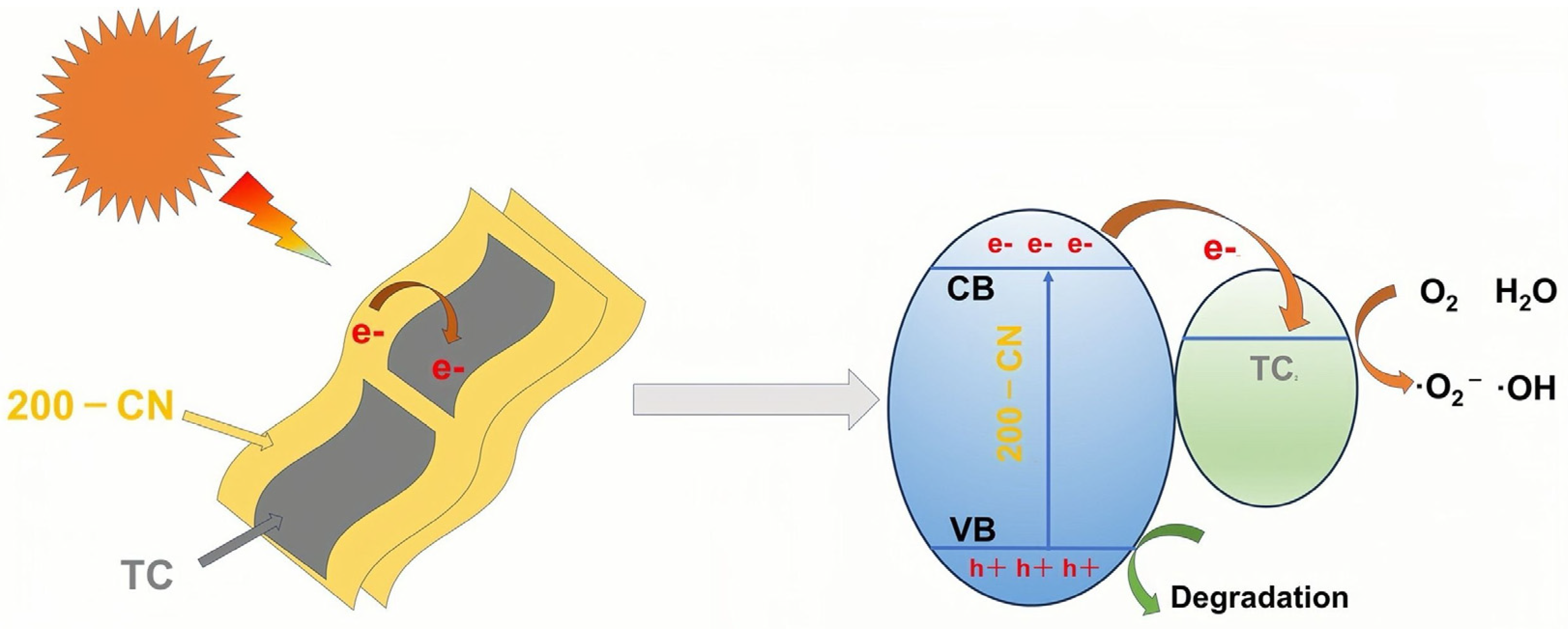 Molecules 30 00487 g008