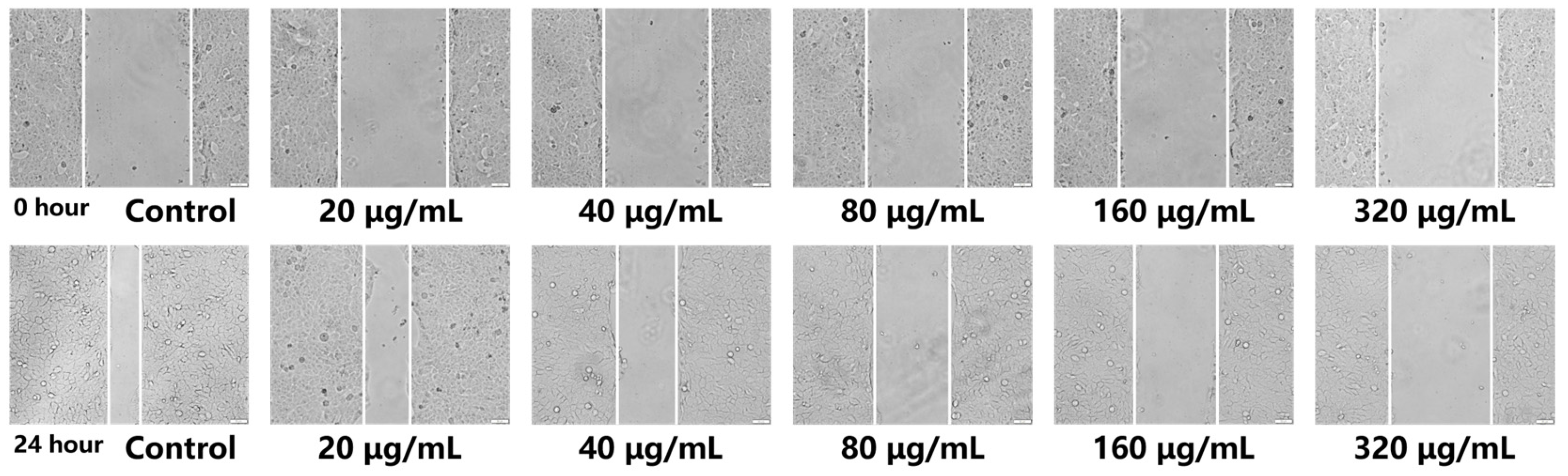 Molecules 30 00487 g010