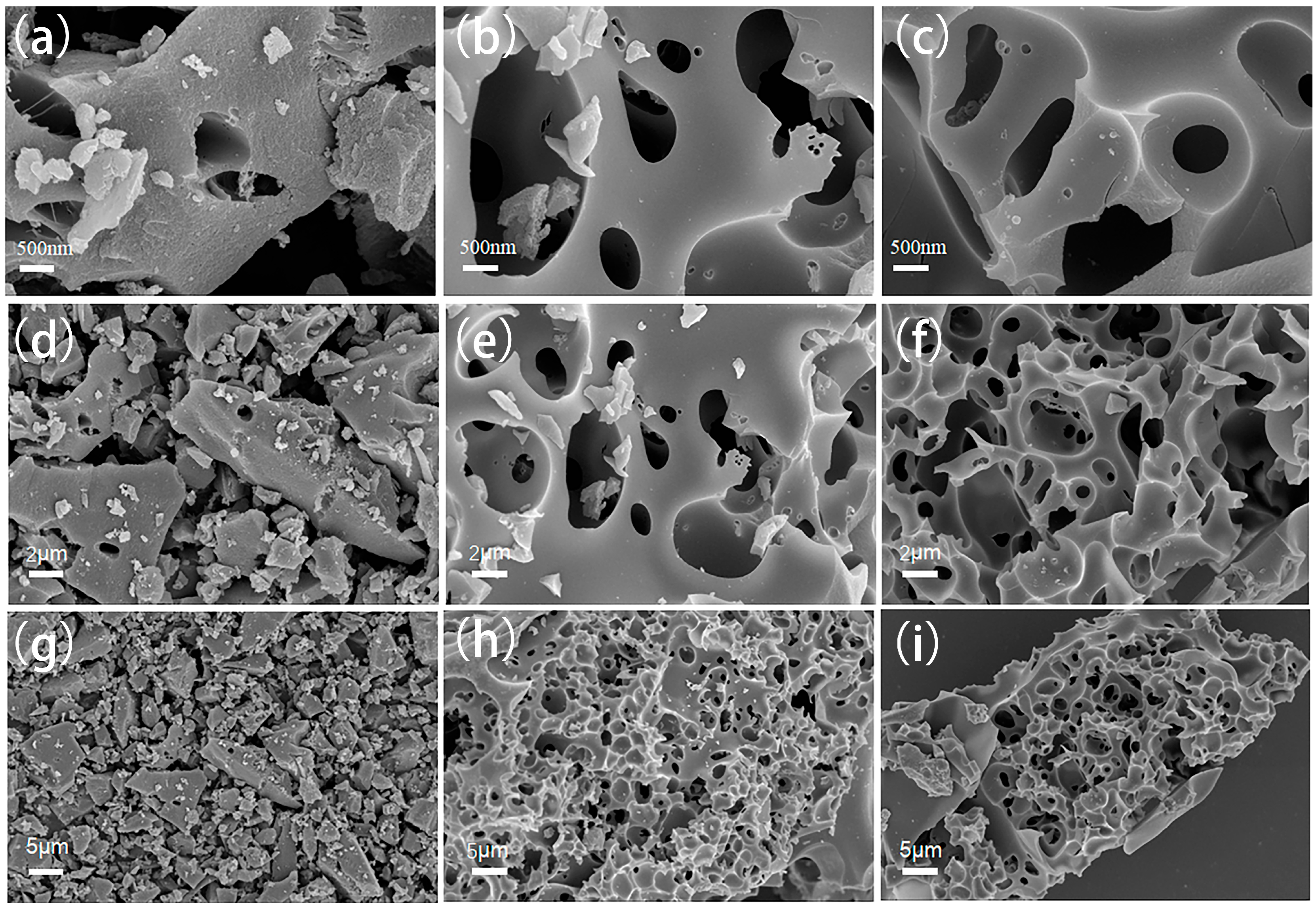 Molecules 30 00494 g001