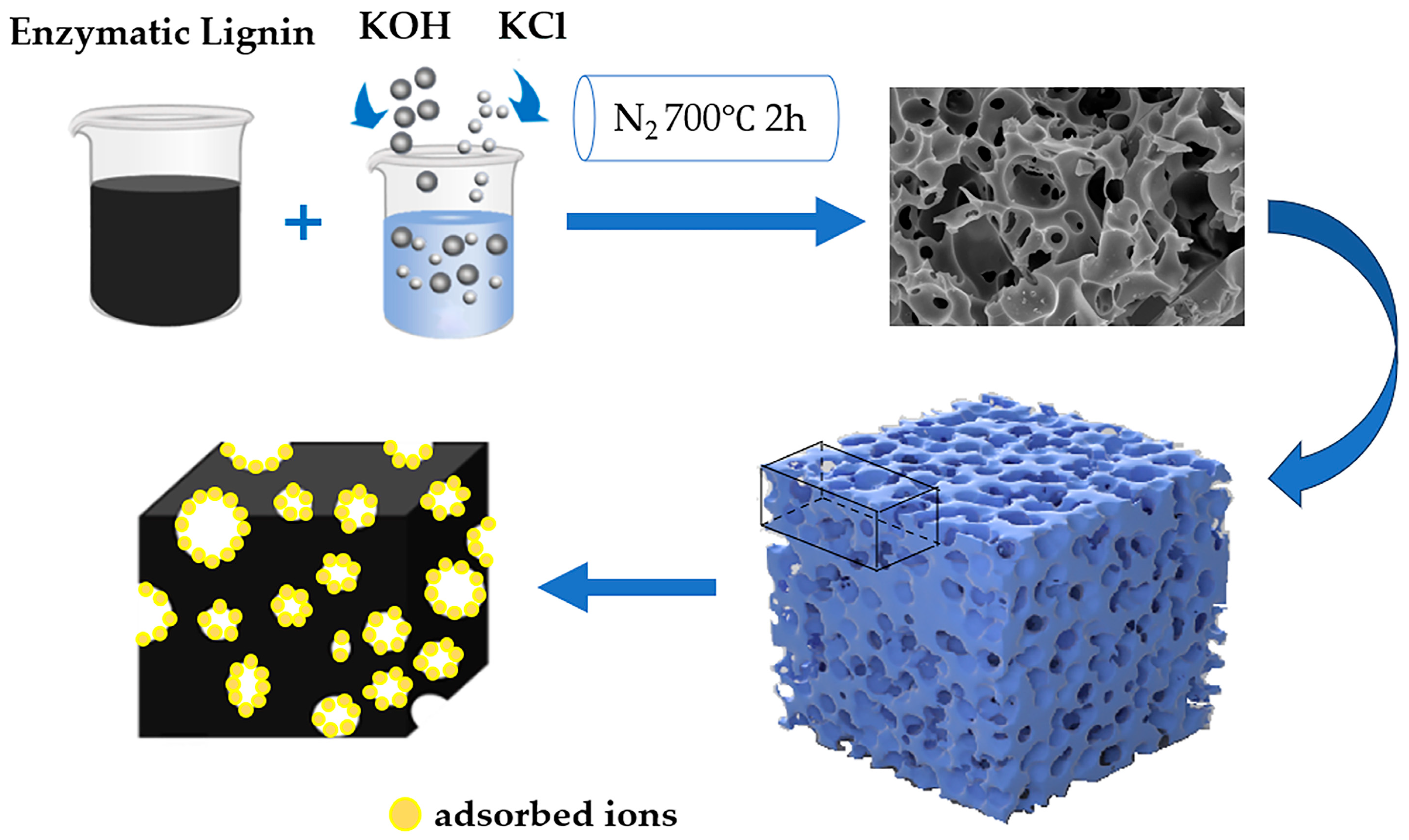Molecules 30 00494 g012
