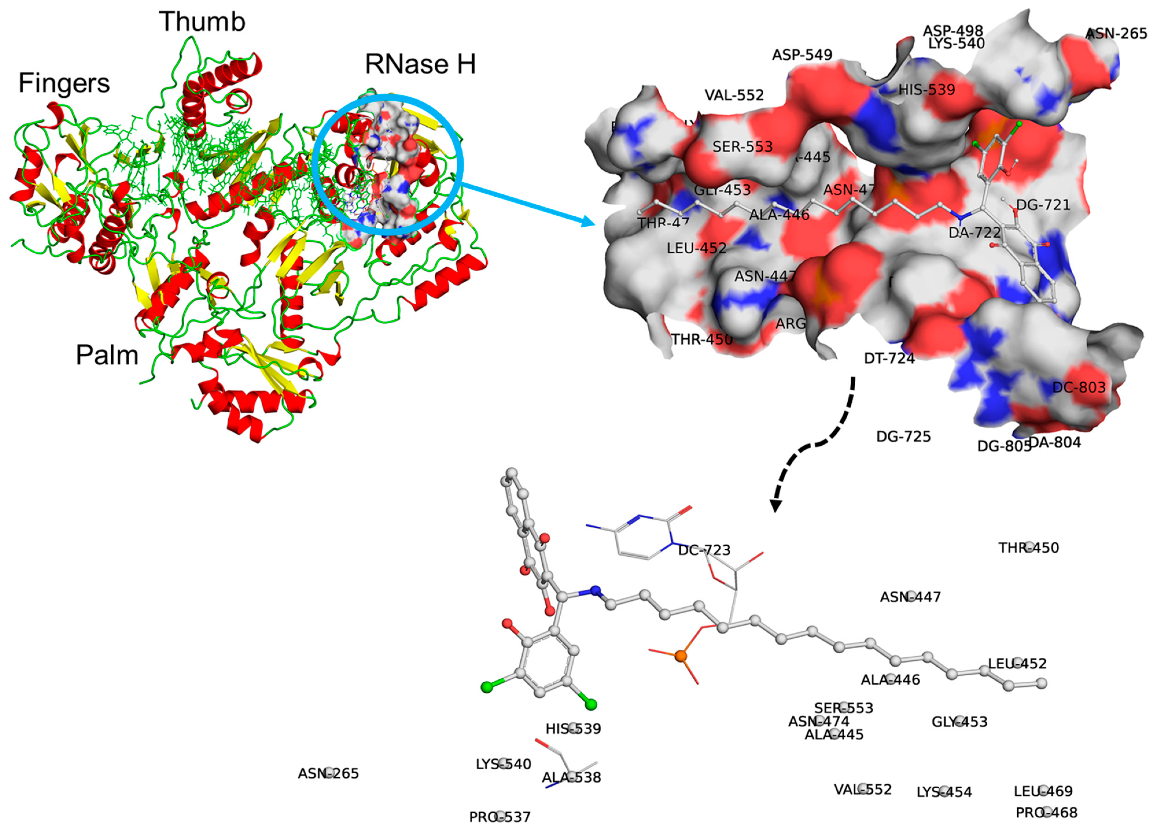 Molecules 30 00495 g003 Molecules 30 00495 g003
