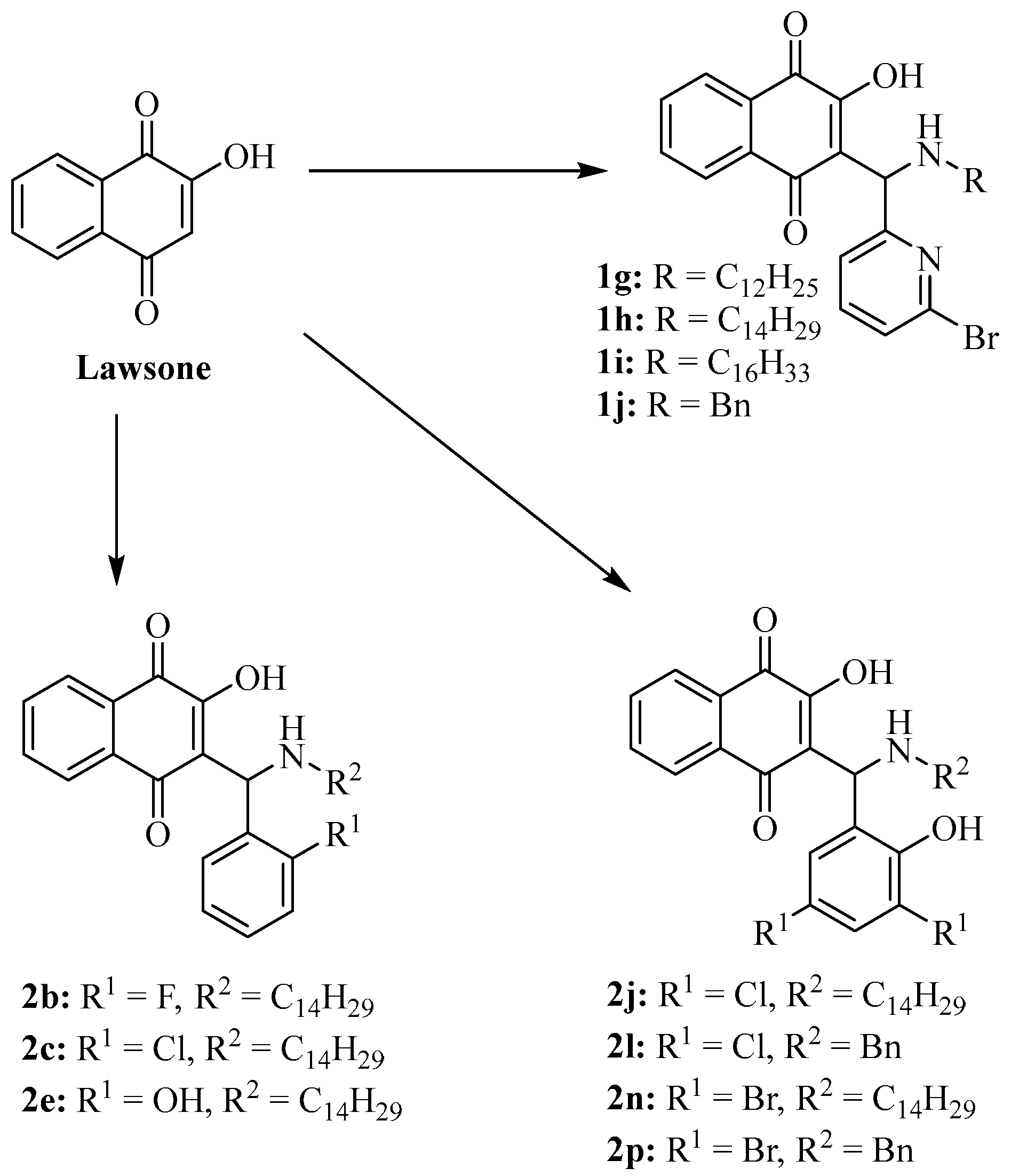 Molecules 30 00495 sch001 Molecules 30 00495 sch001