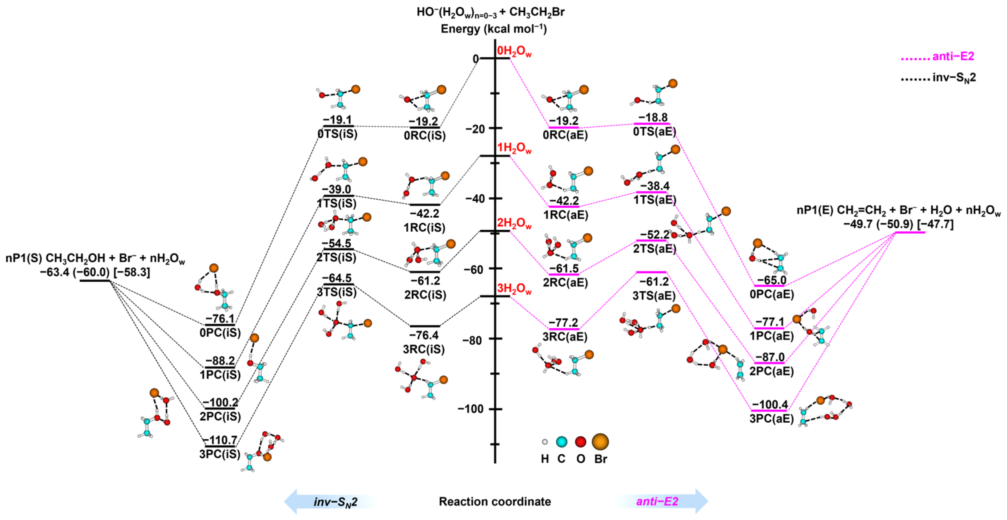 Molecules 30 00496 g001